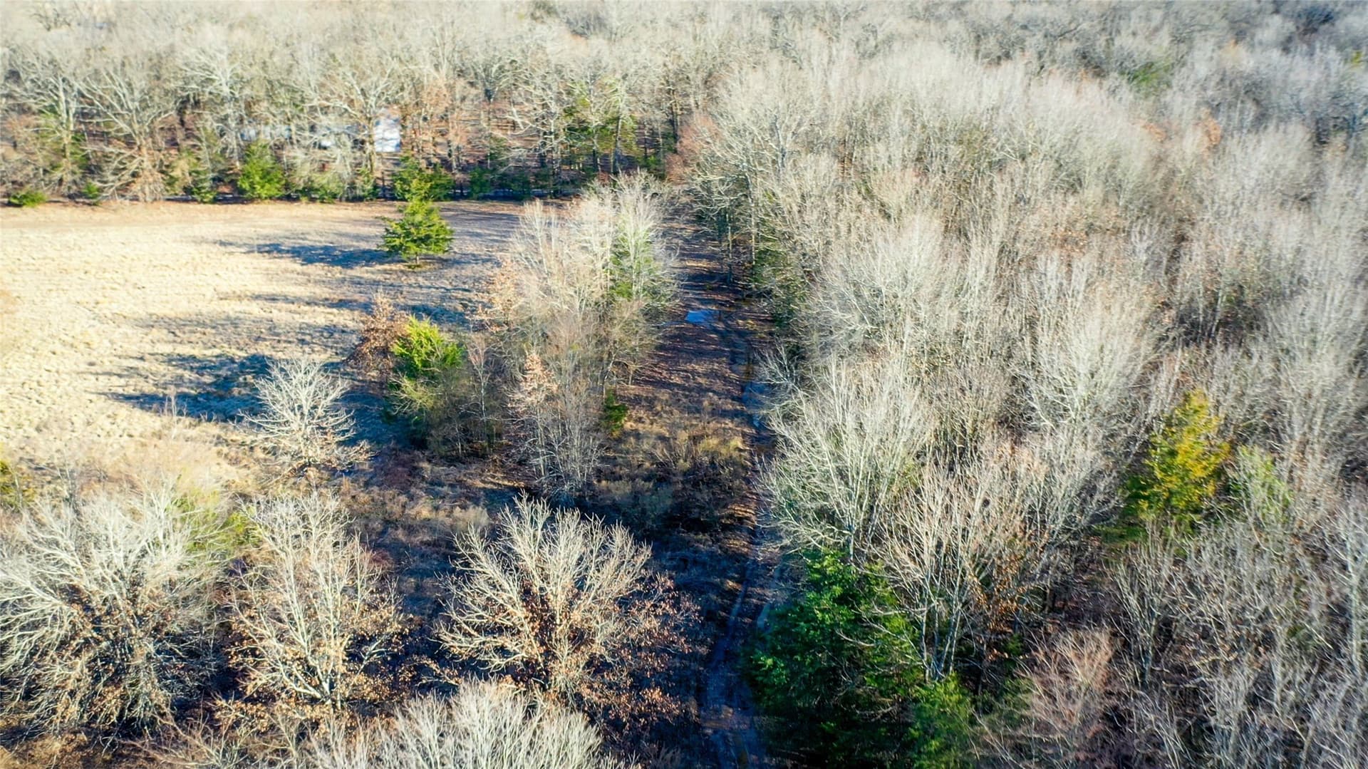 228.17 acres in Red River (TX) County - photo 12