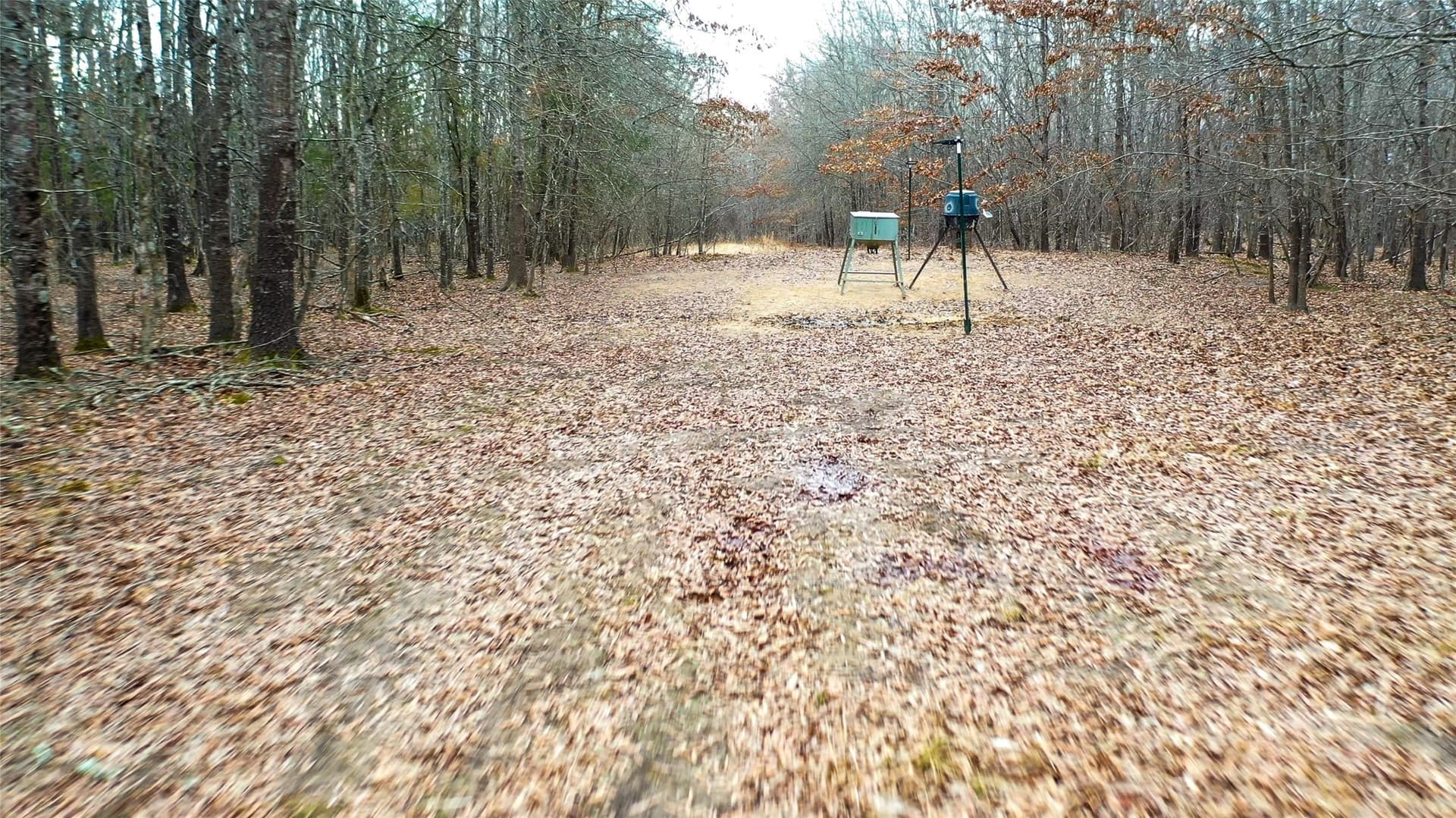 228.17 acres in Red River (TX) County - photo 32
