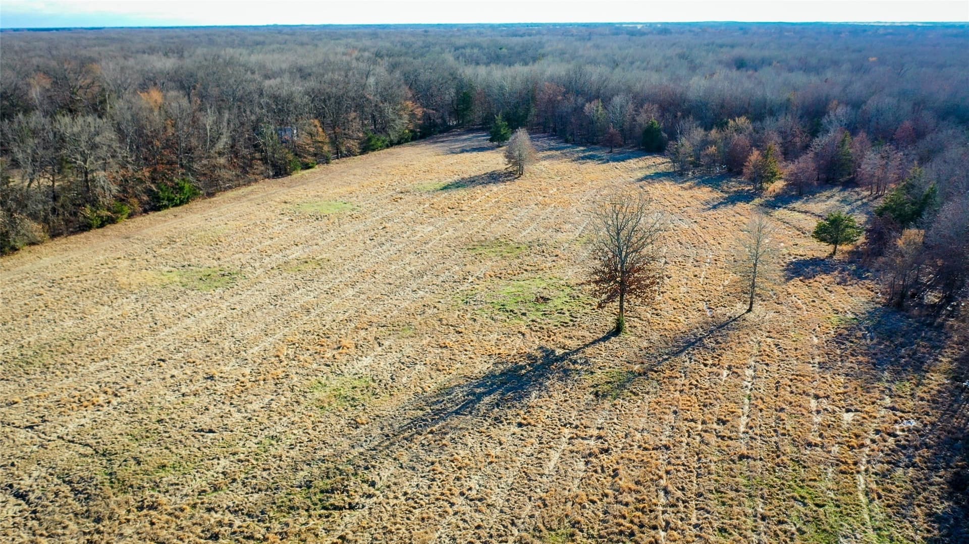 228.17 acres in Red River (TX) County - photo 22