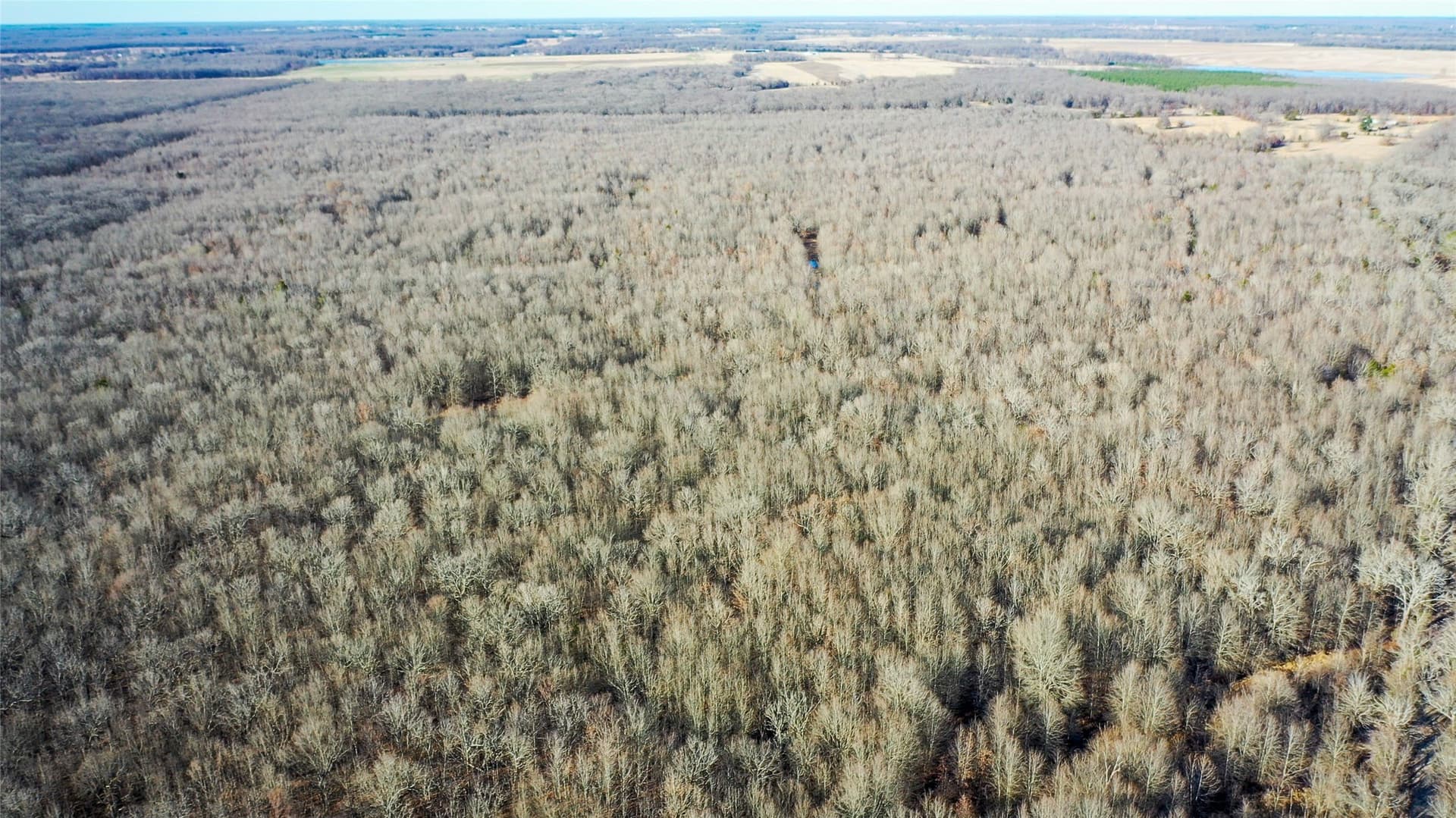 228.17 acres in Red River (TX) County - photo 31