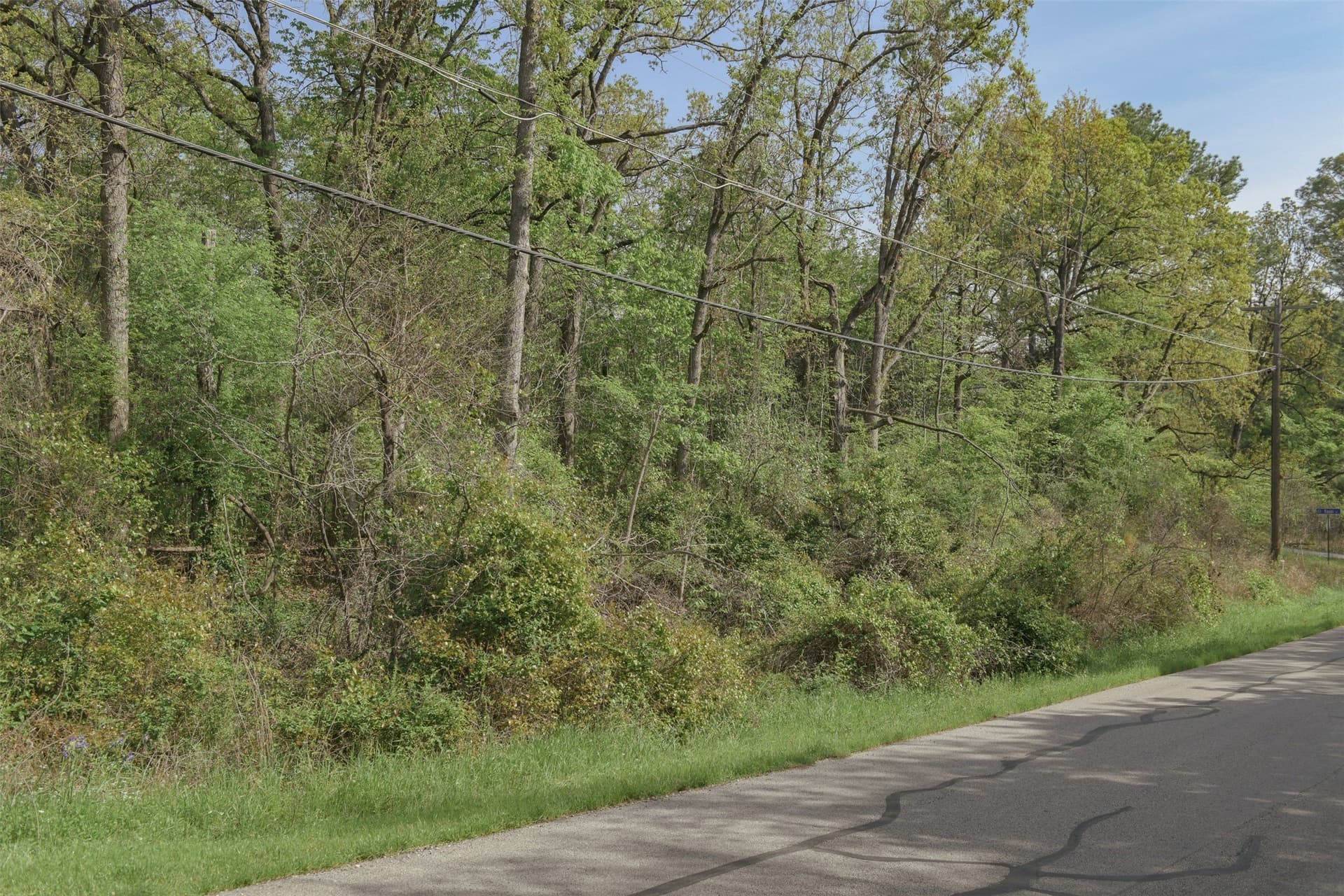 0.22 acres in Henderson County - photo 18