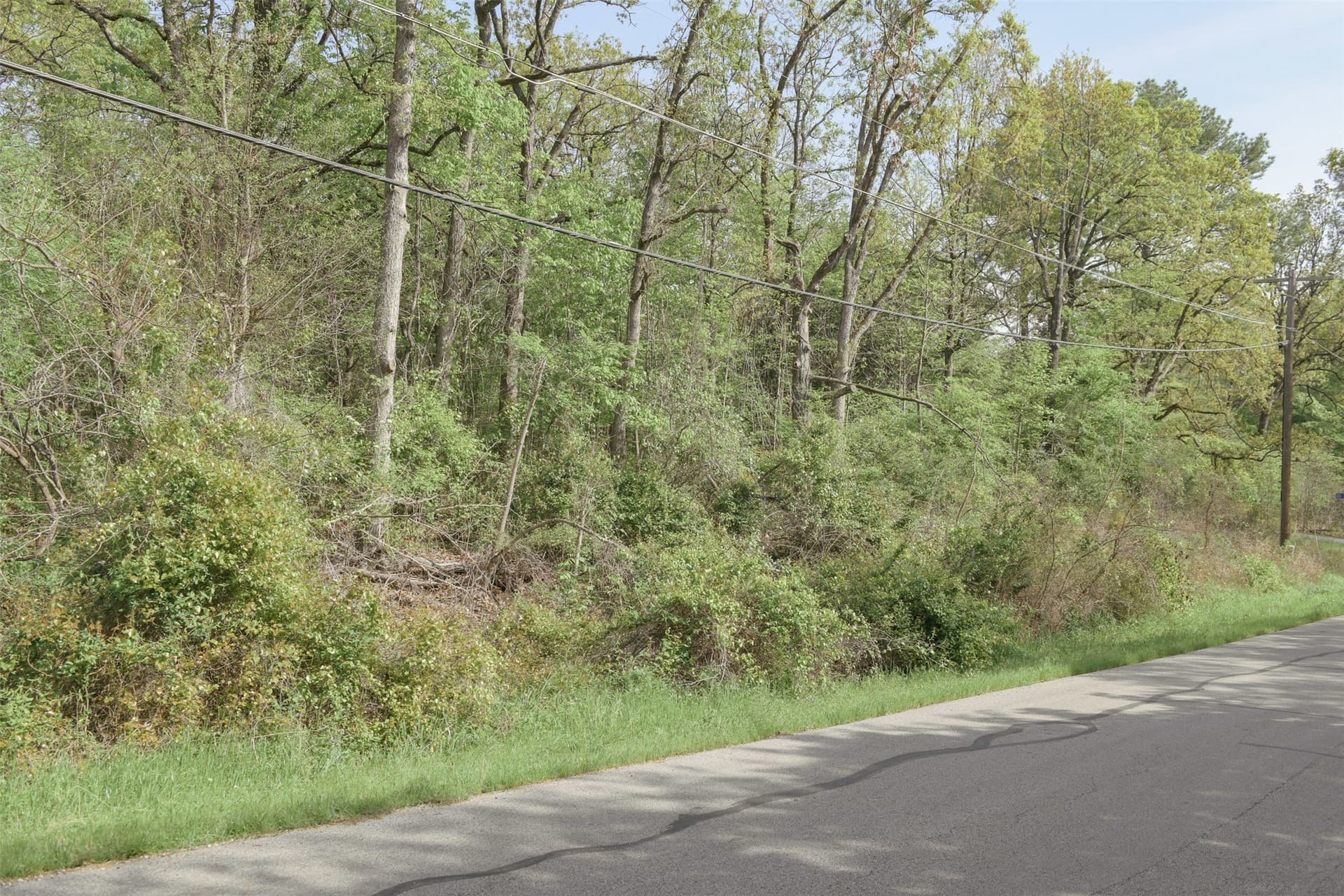0.22 acres in Henderson County - photo 16