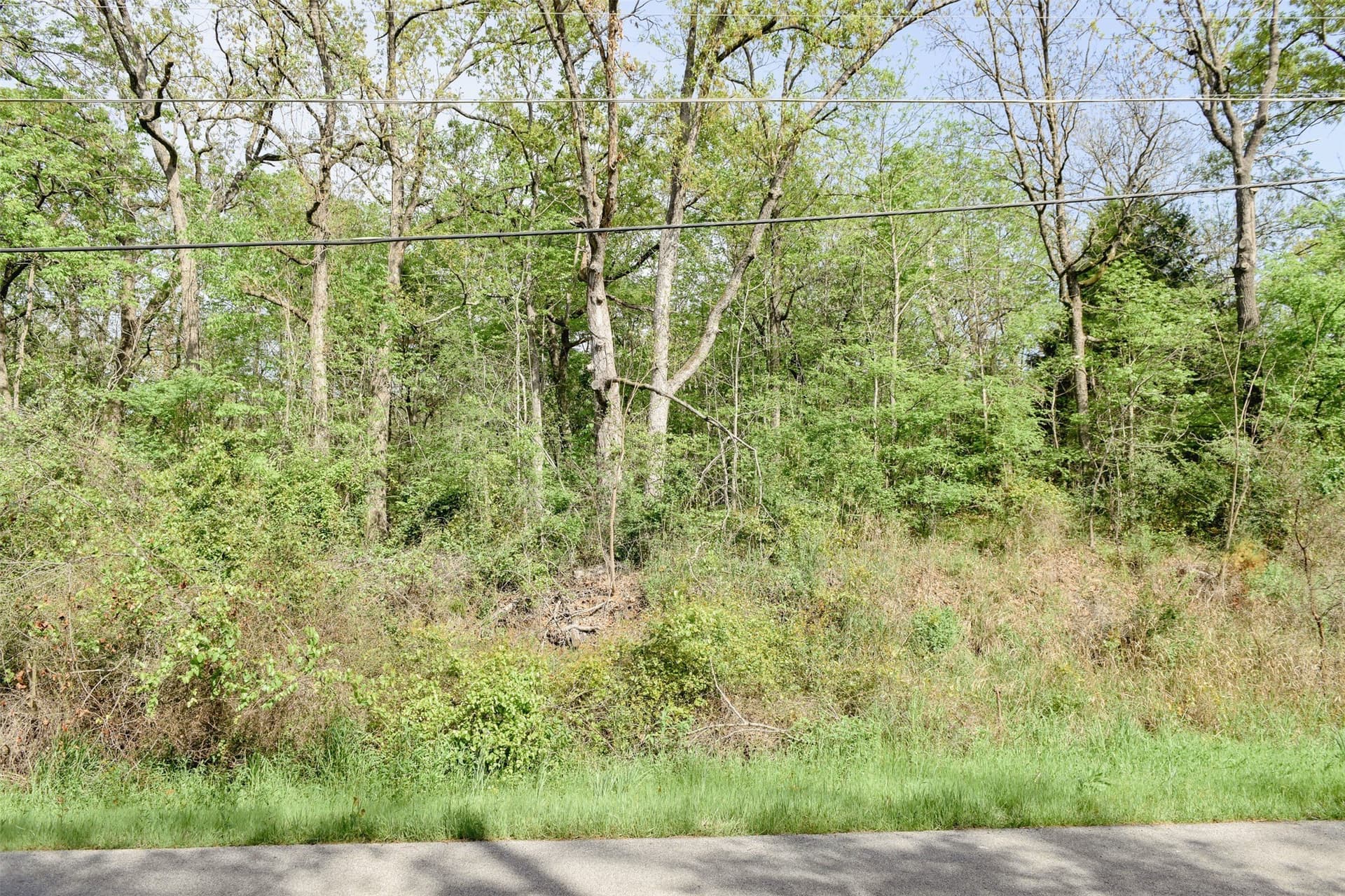 0.22 acres in Henderson County - photo 22