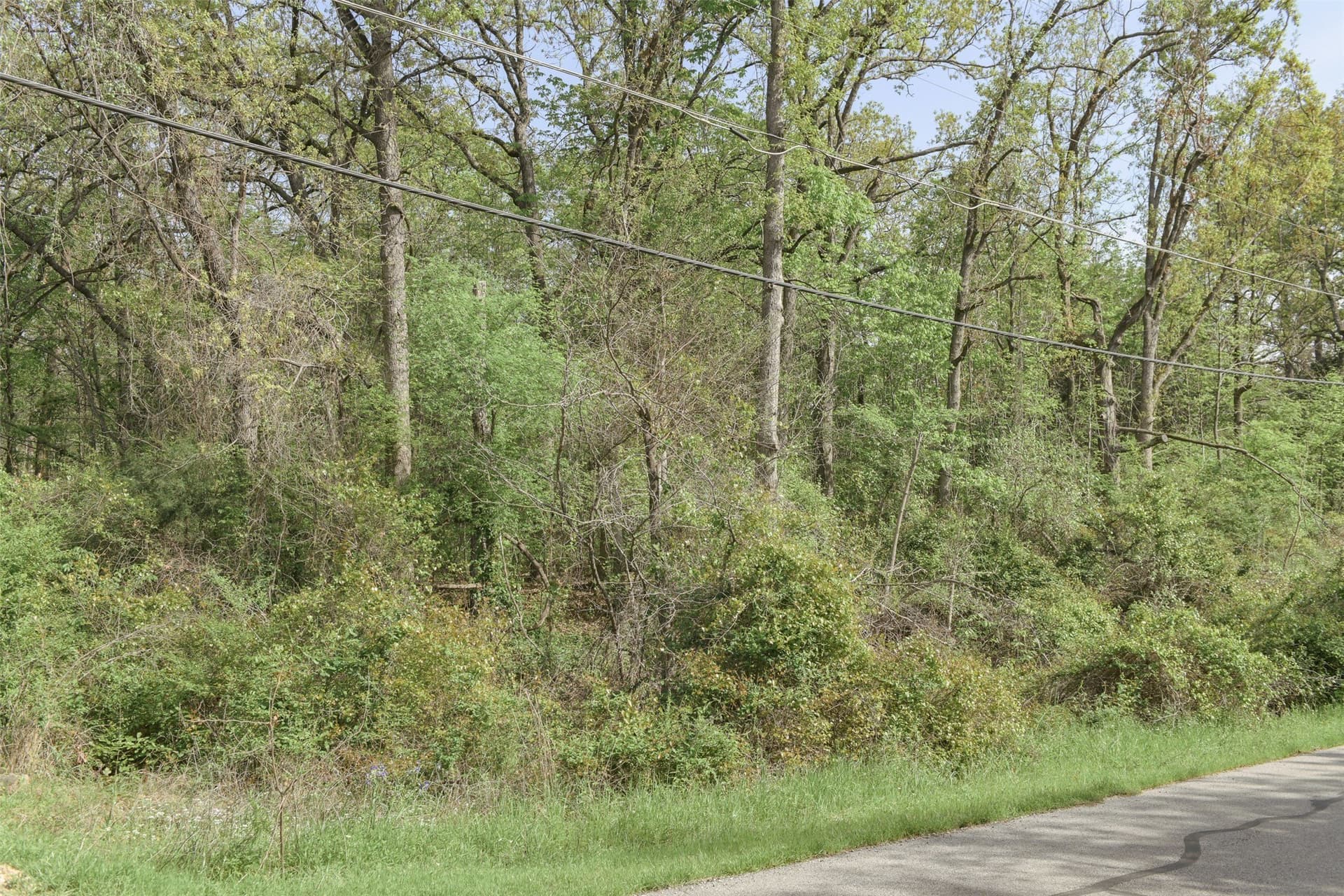 0.22 acres in Henderson County - photo 17