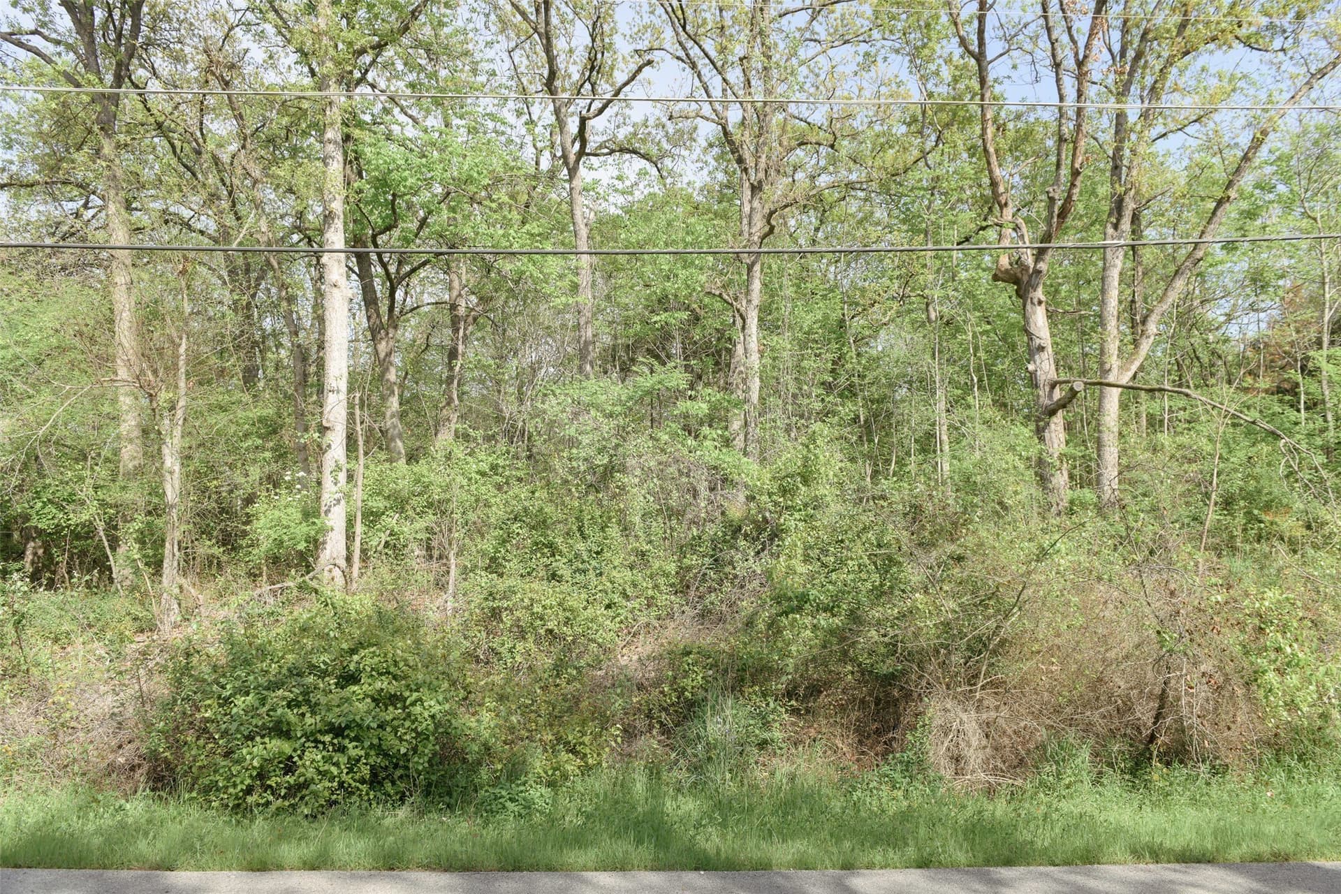 0.22 acres in Henderson County - photo 21
