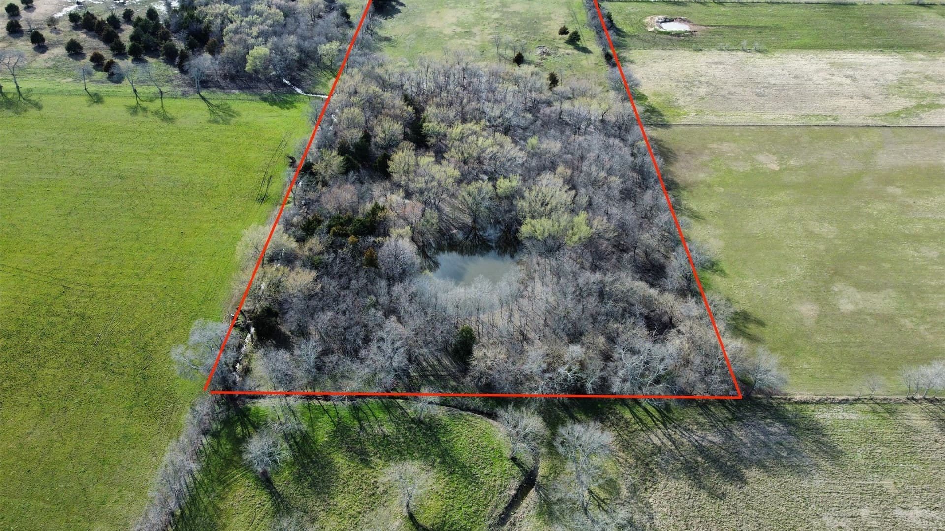 40.06 acres in Grayson County - photo 7
