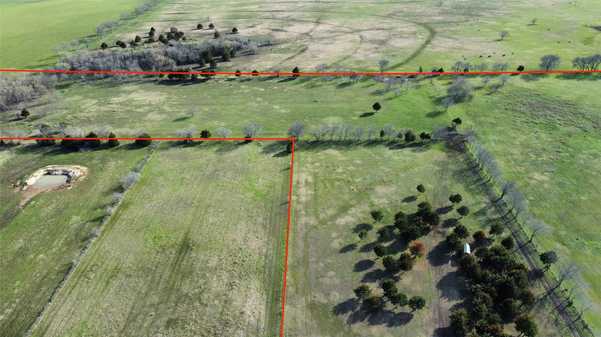40.06 acres in Grayson County - photo 9