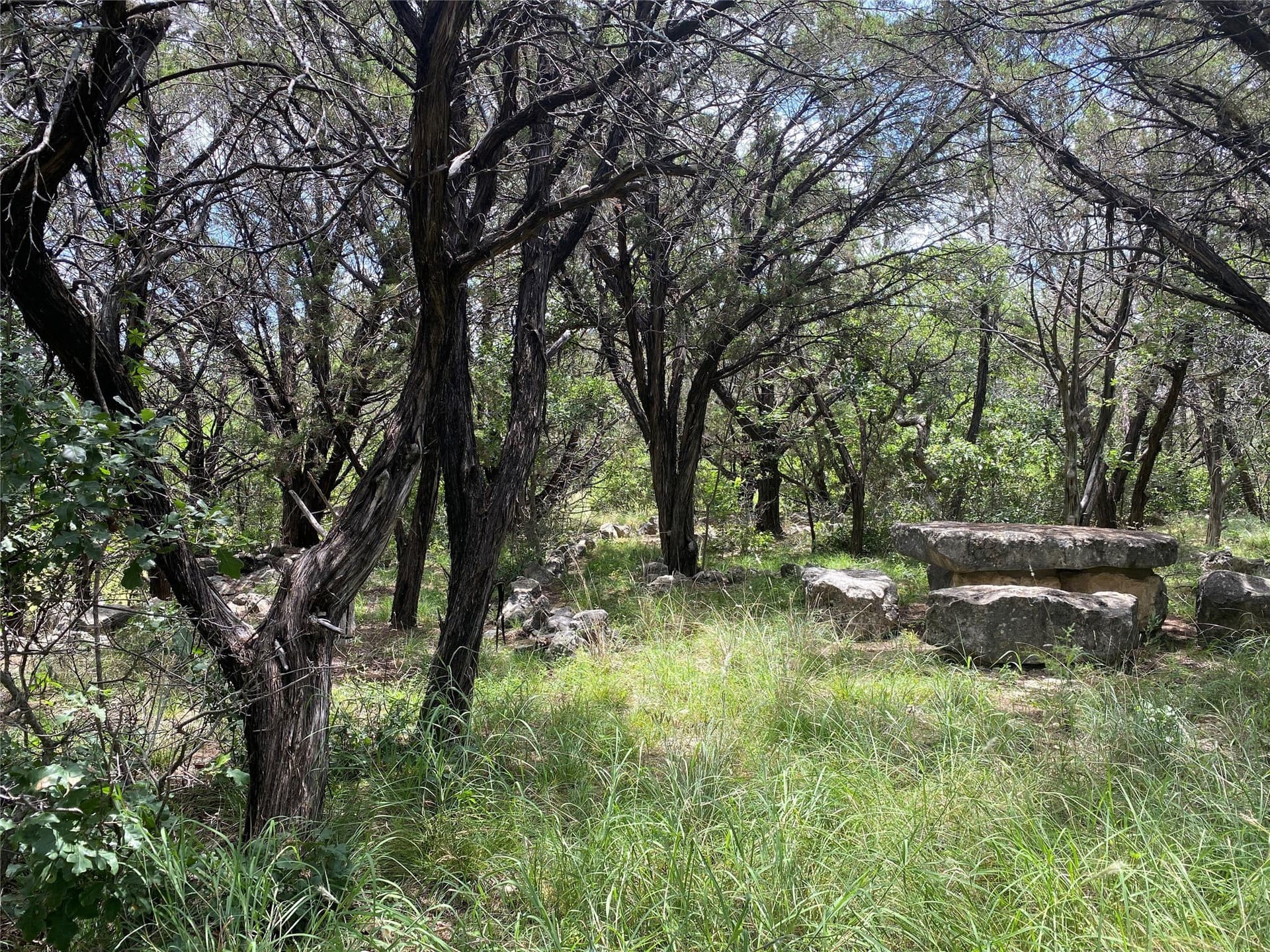0.59 acres in Bosque County - photo 2