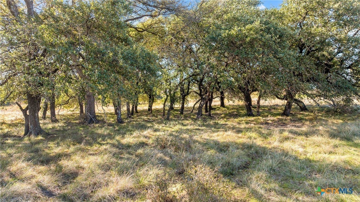 5 acres in Coryell County gallery image 2