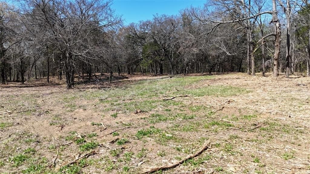 4.19 acres in Grayson County gallery image 4