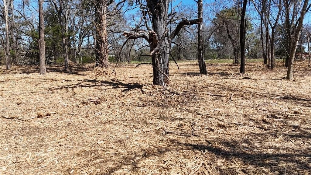 4.19 acres in Grayson County featured view