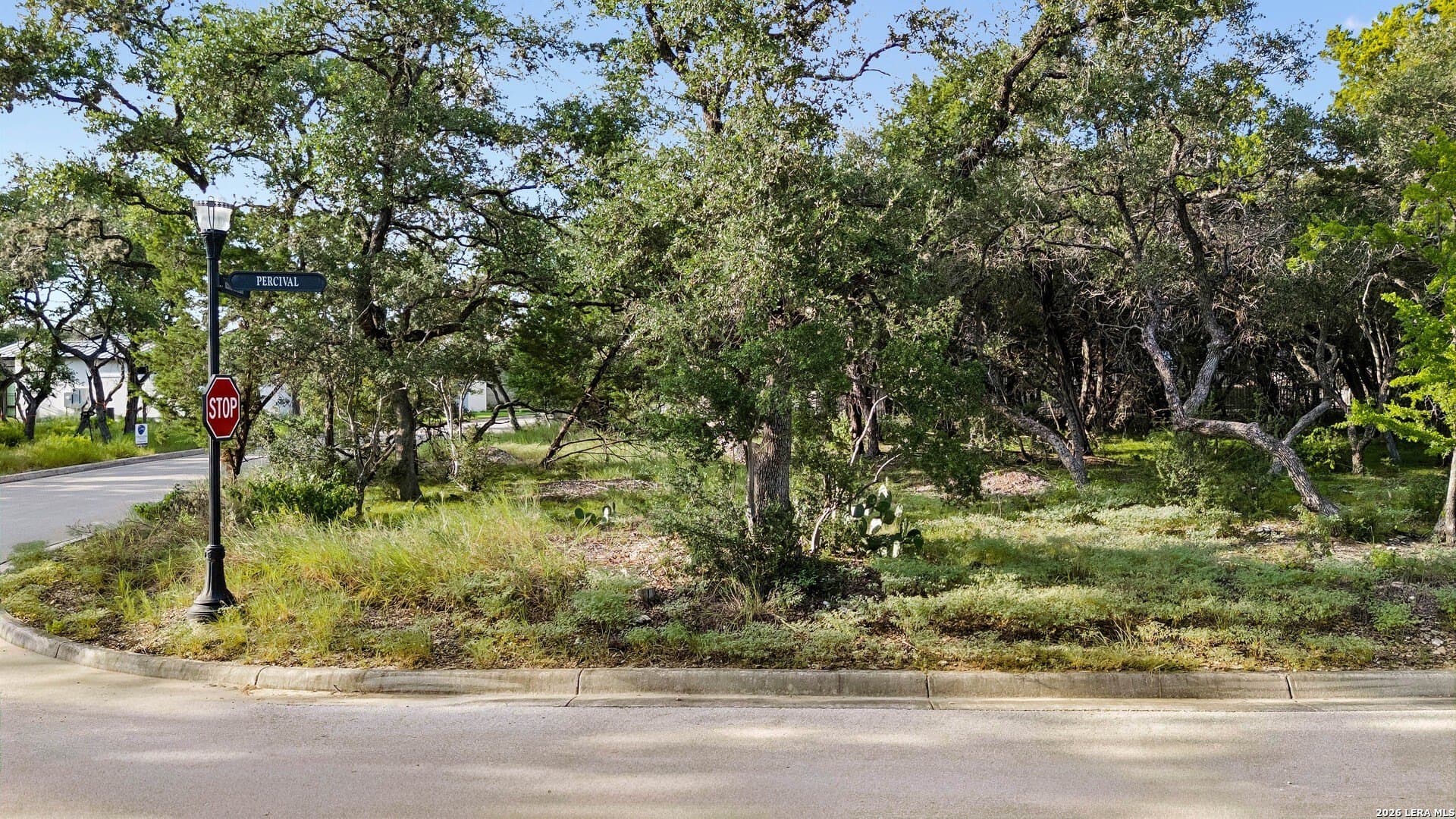 0.31 acres in Bexar County - photo 5