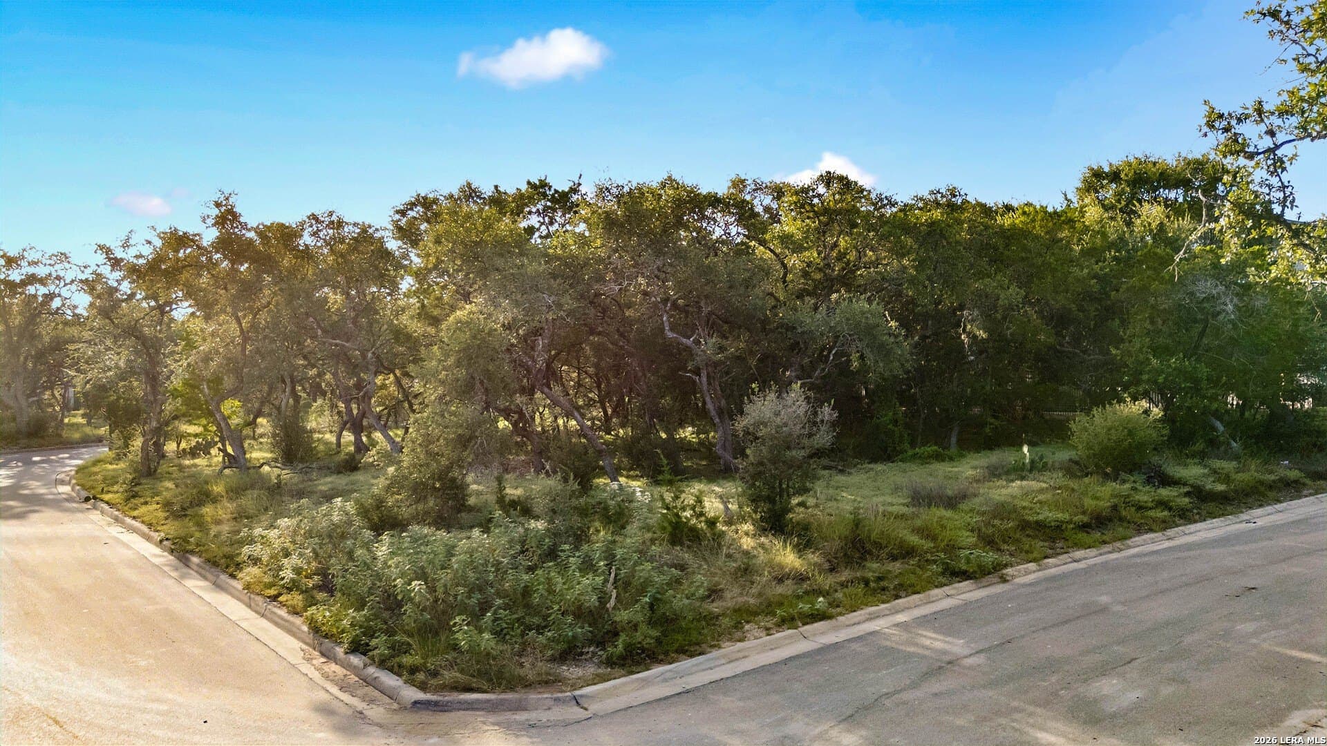 0.31 acres in Bexar County - photo 7