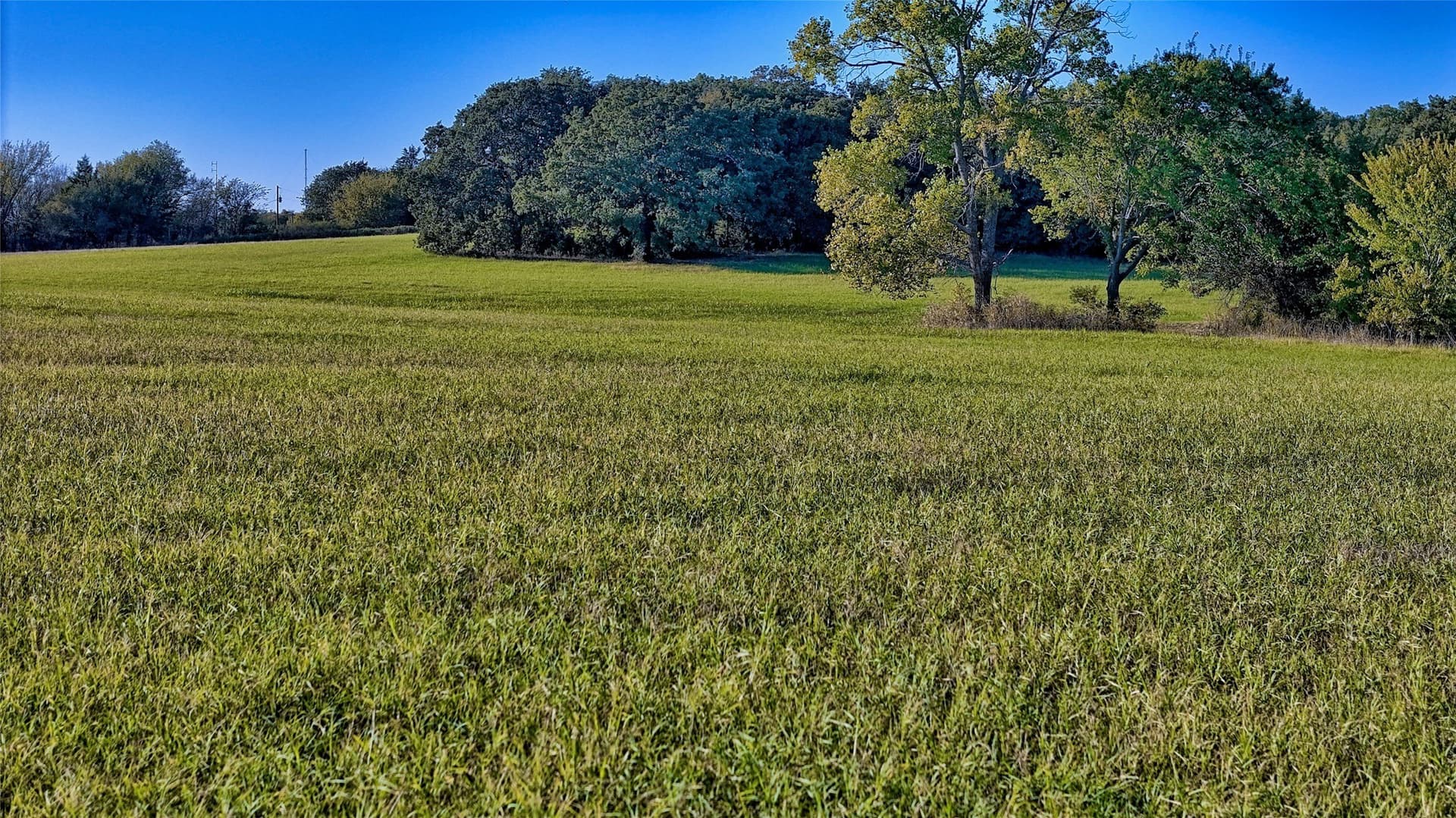 24.28 acres in Montague County - photo 27