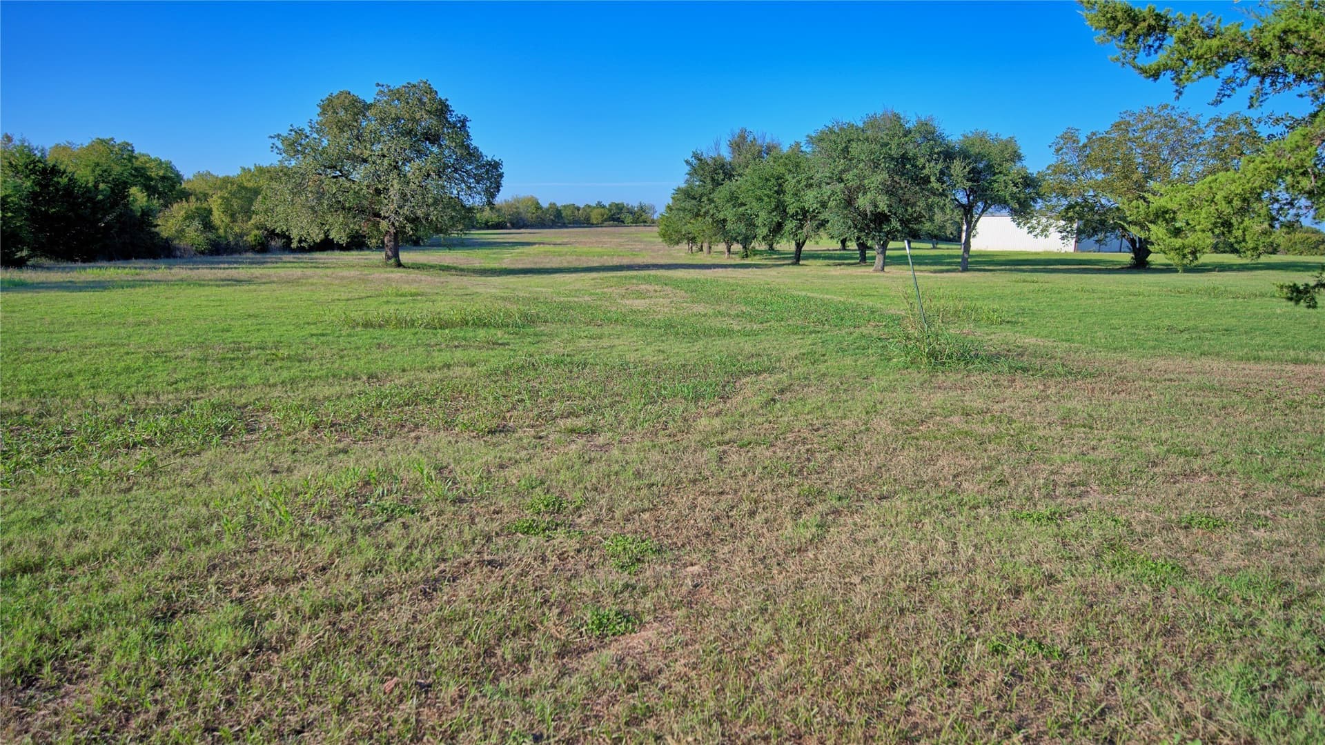 24.28 acres in Montague County - photo 28