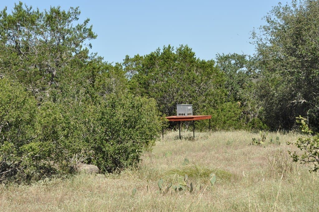 16.53 acres in Blanco County gallery image 3