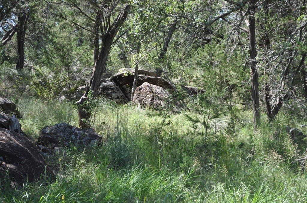 16.53 acres in Blanco County gallery image 4