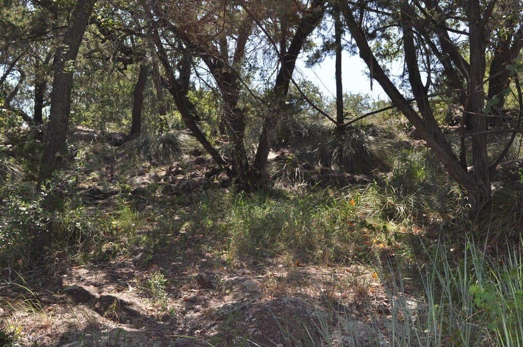 16.53 acres in Blanco County featured view