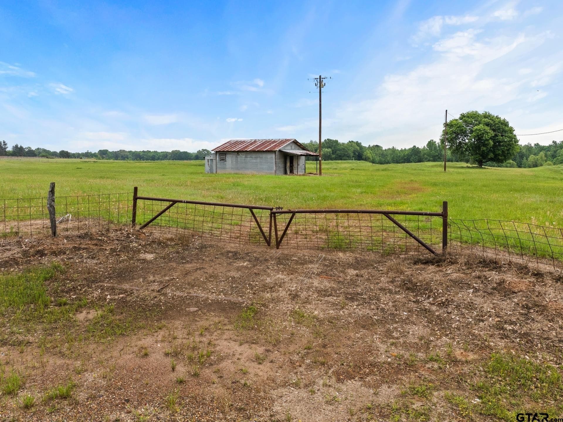 34.04 acres in Camp County gallery image 2