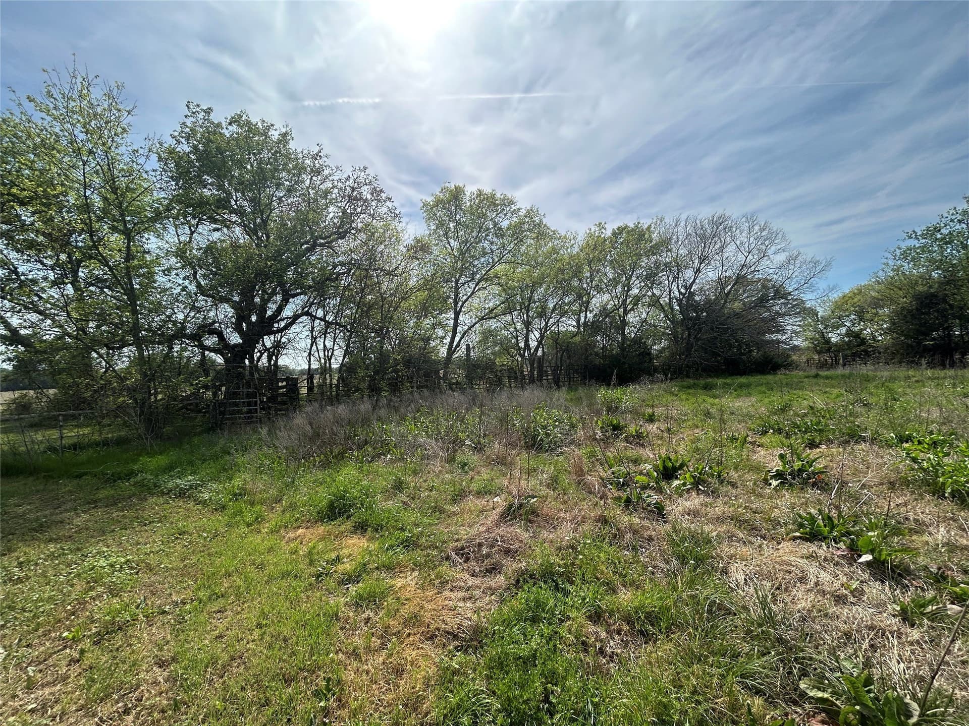 168 acres in Henderson County - photo 12
