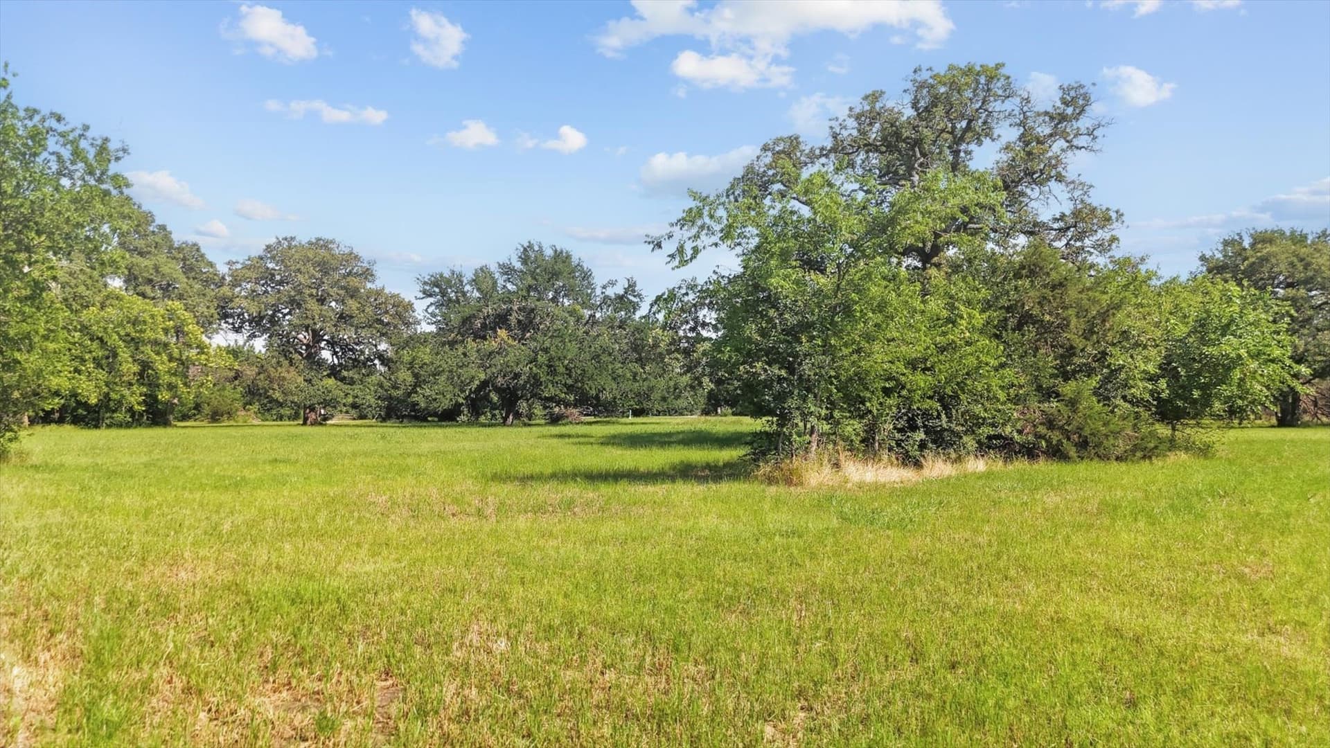 0.82 acres in Denton County gallery image 3