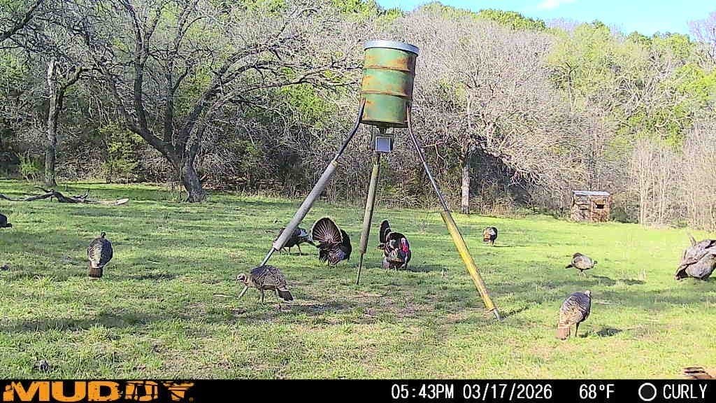 445 acres in Palo Pinto County - photo 30