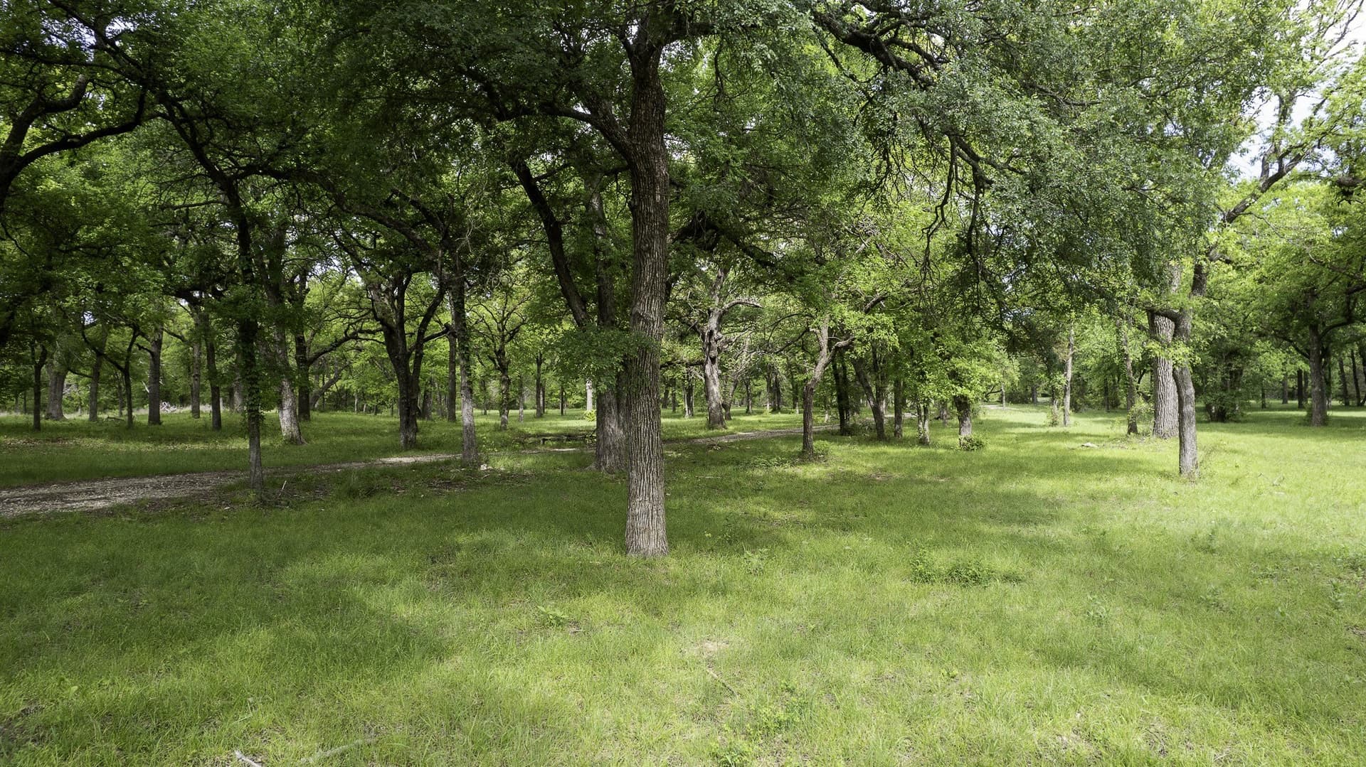 445 acres in Palo Pinto County - photo 12