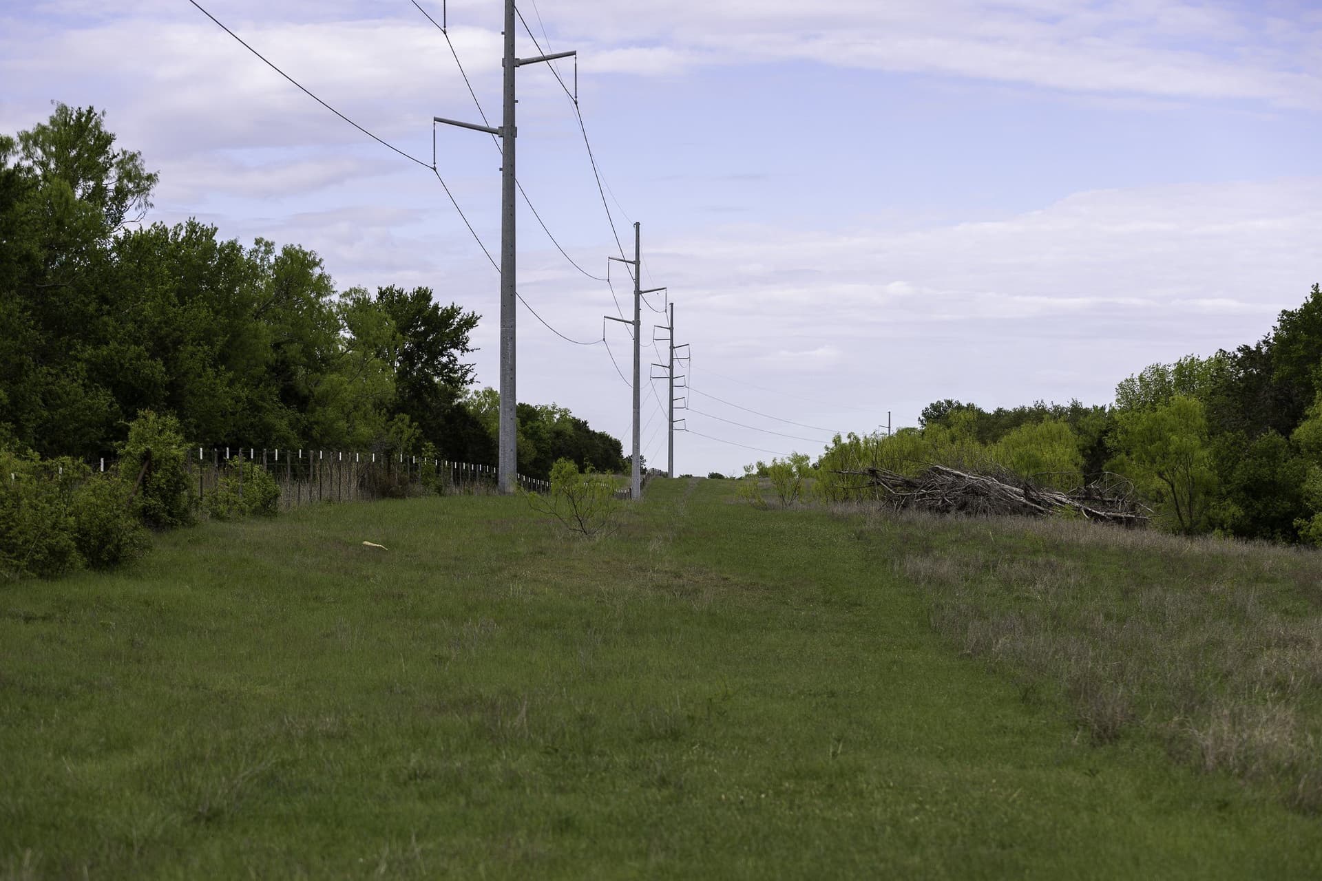 445 acres in Palo Pinto County - photo 10