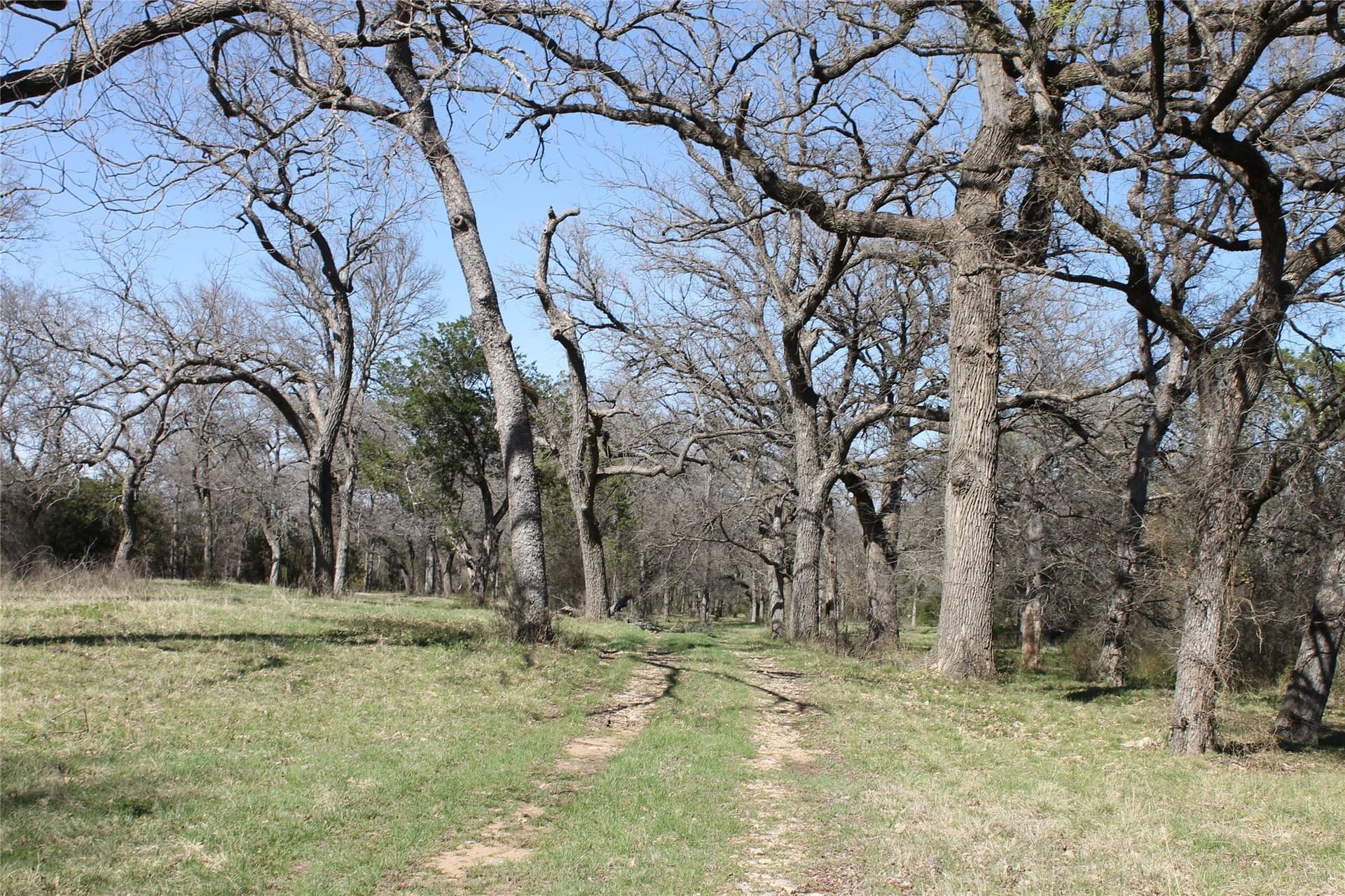 445 acres in Palo Pinto County - photo 37