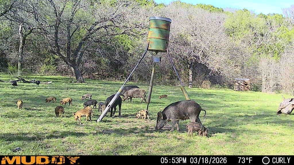 445 acres in Palo Pinto County - photo 29