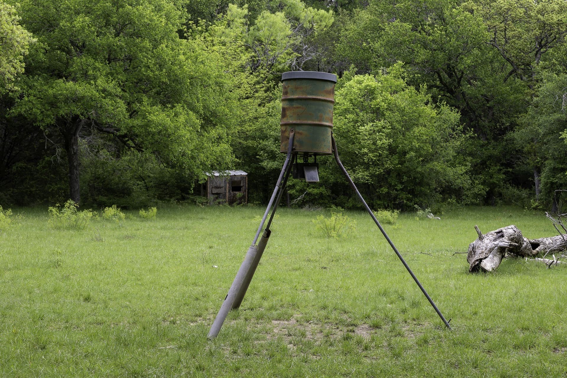 445 acres in Palo Pinto County - photo 14