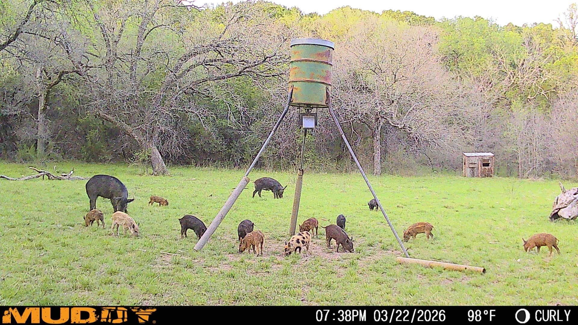 445 acres in Palo Pinto County - photo 28