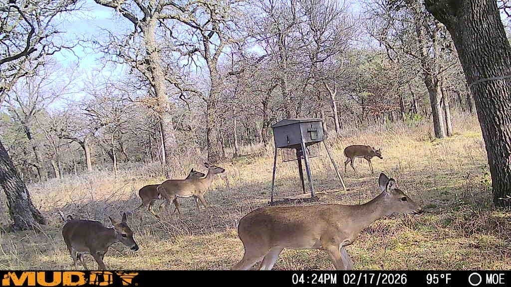 445 acres in Palo Pinto County - photo 26