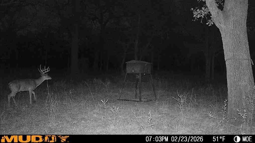 445 acres in Palo Pinto County - photo 25
