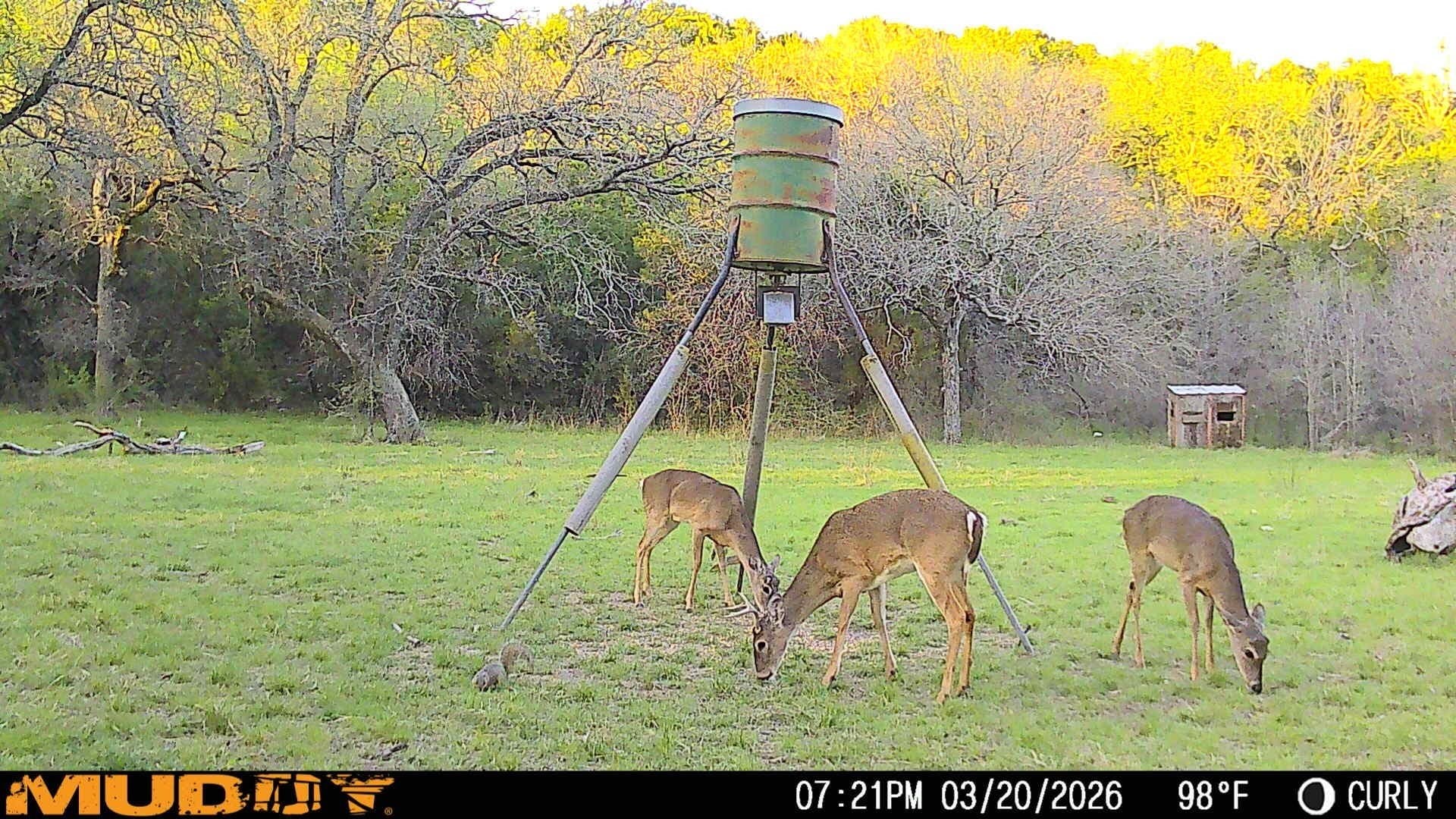 445 acres in Palo Pinto County - photo 27