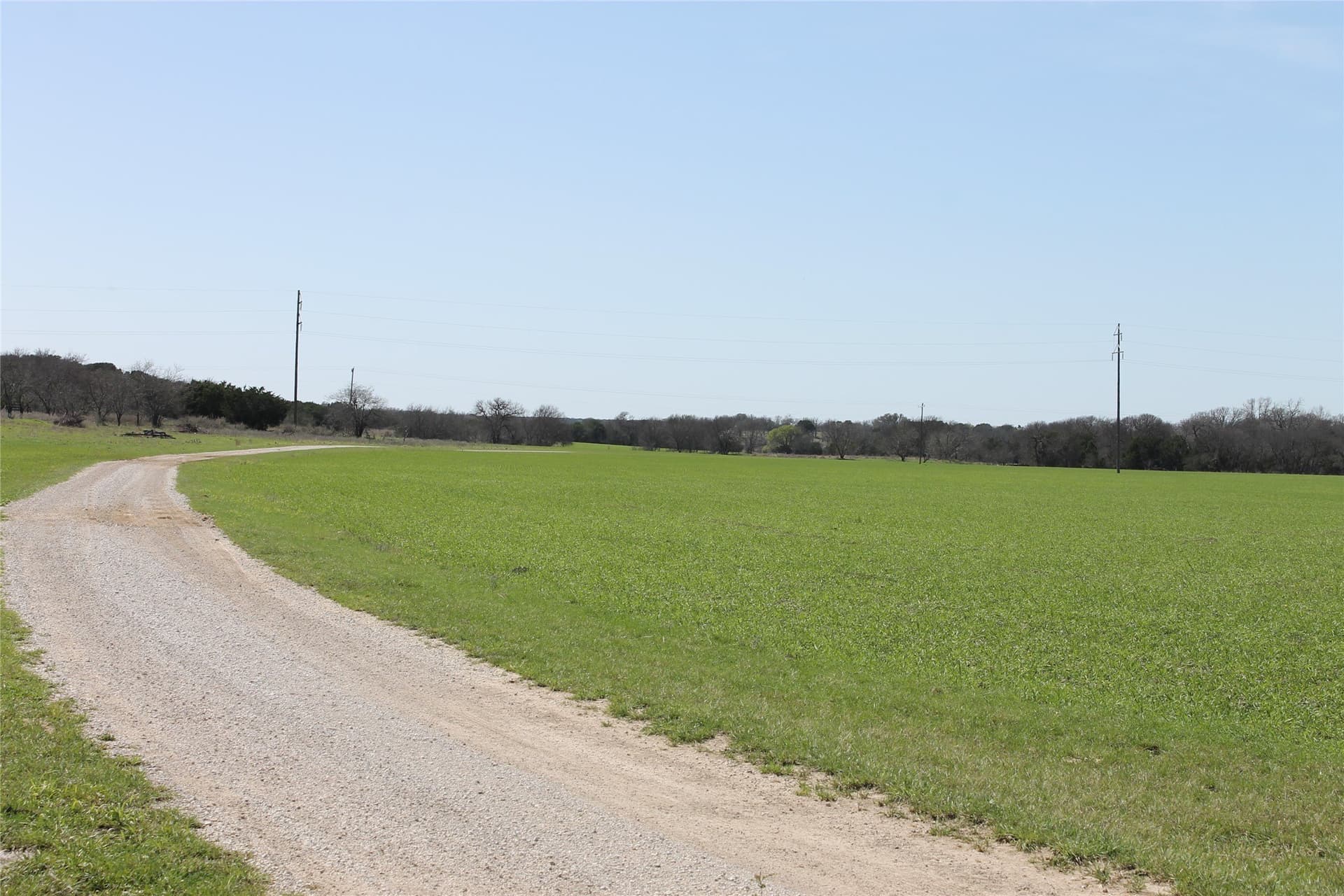 445 acres in Palo Pinto County - photo 6