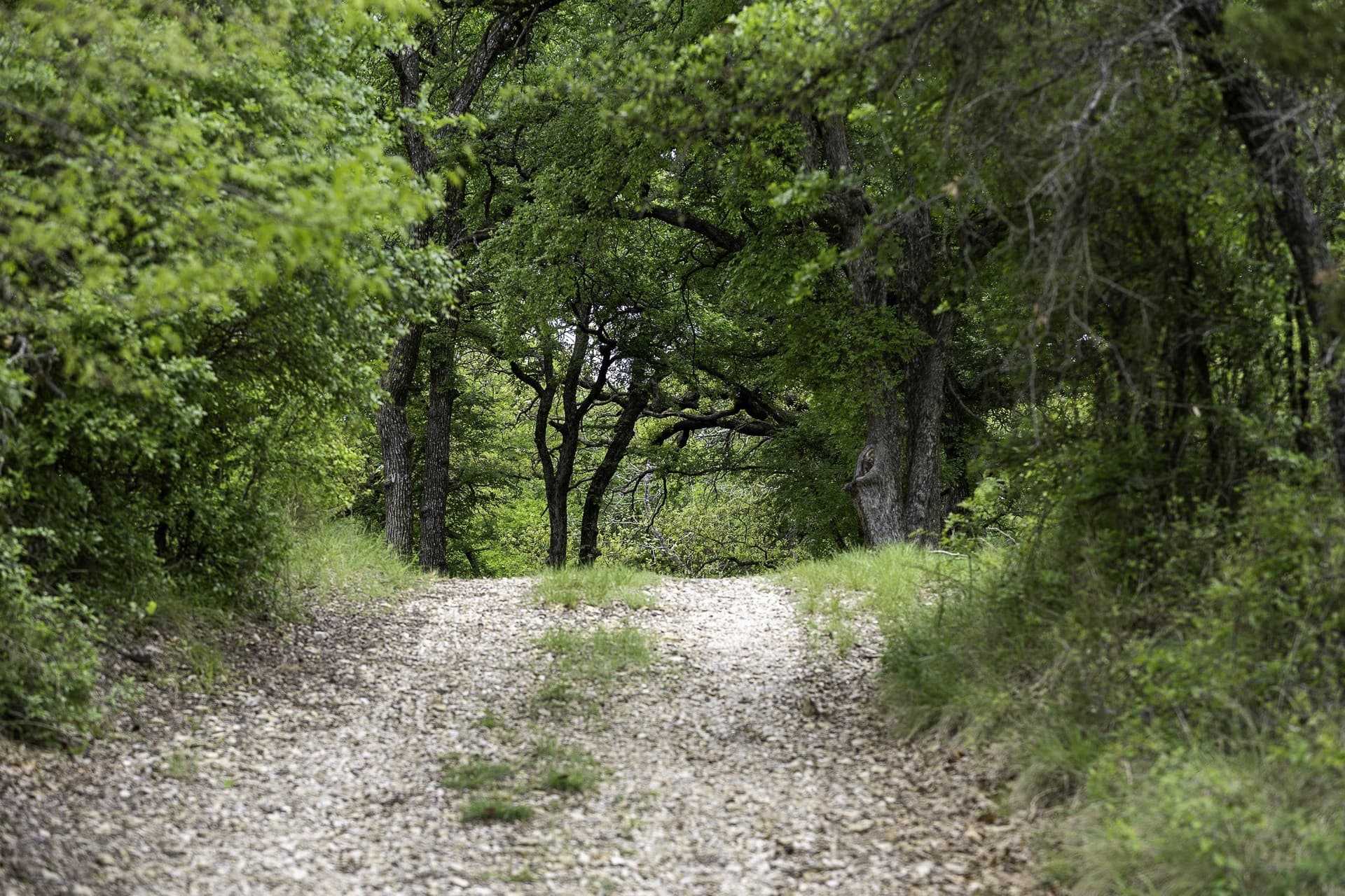 445 acres in Palo Pinto County - photo 11