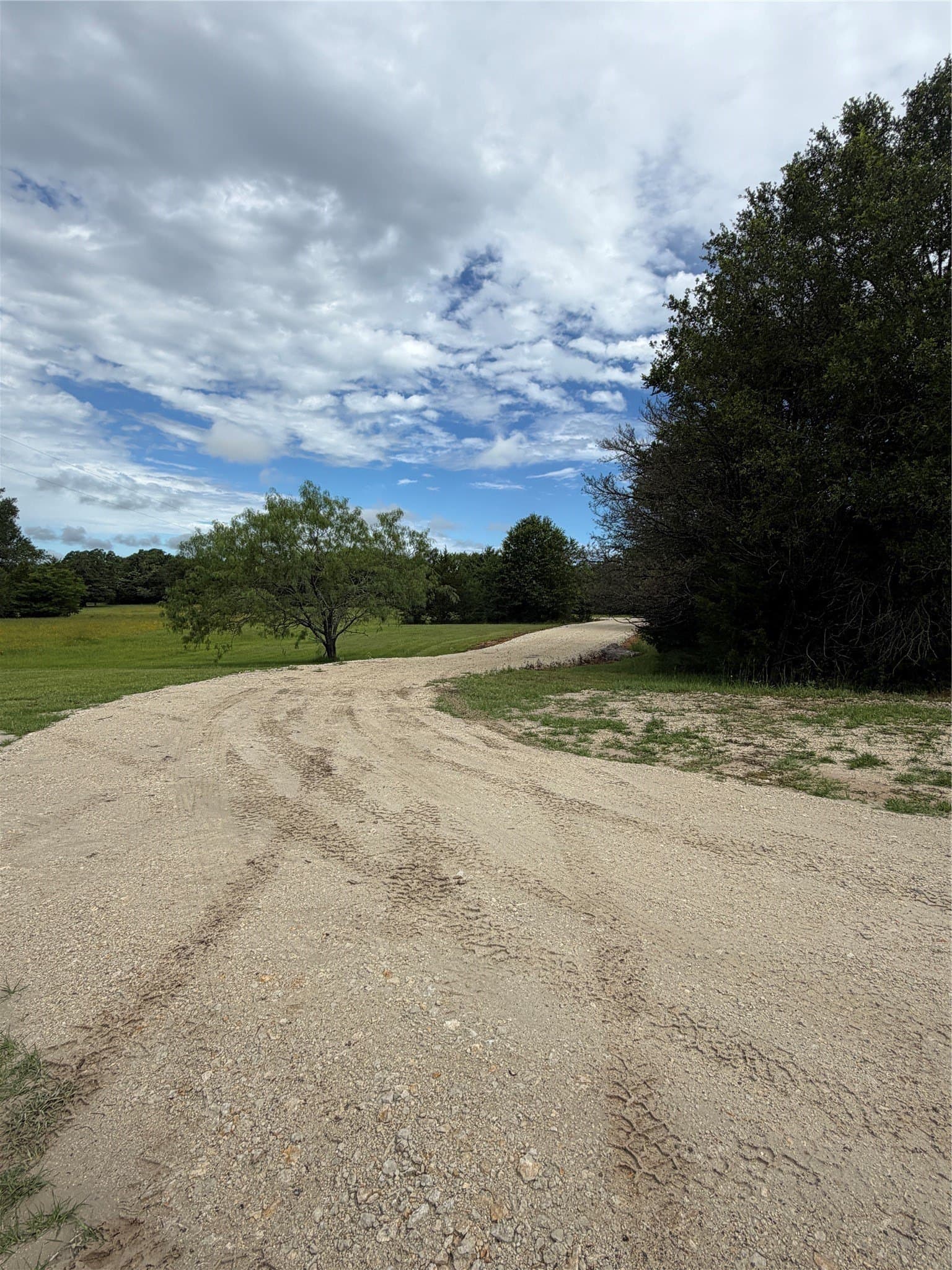 26 acres in Freestone County gallery image 4