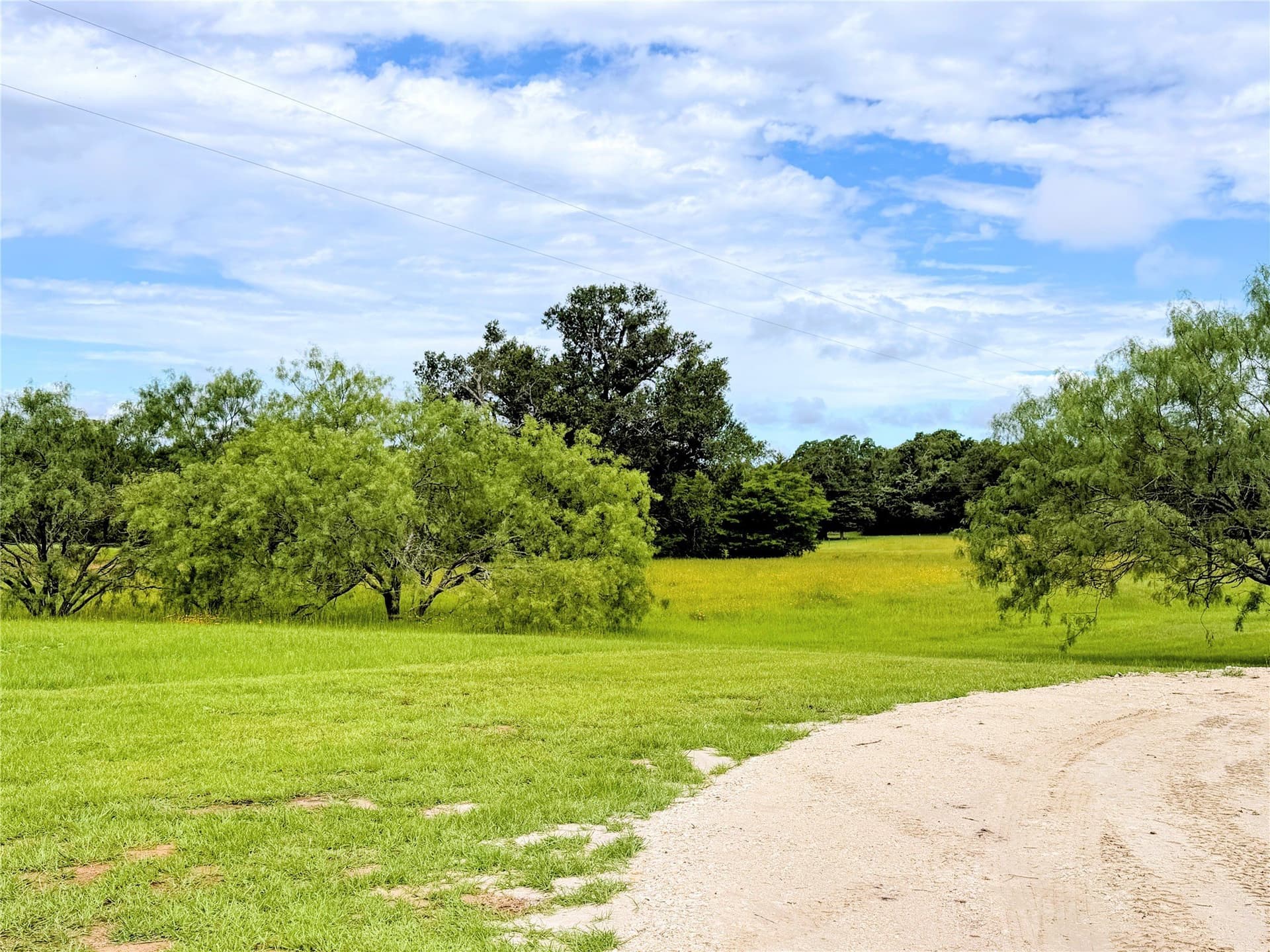 26 acres in Freestone County gallery image 3
