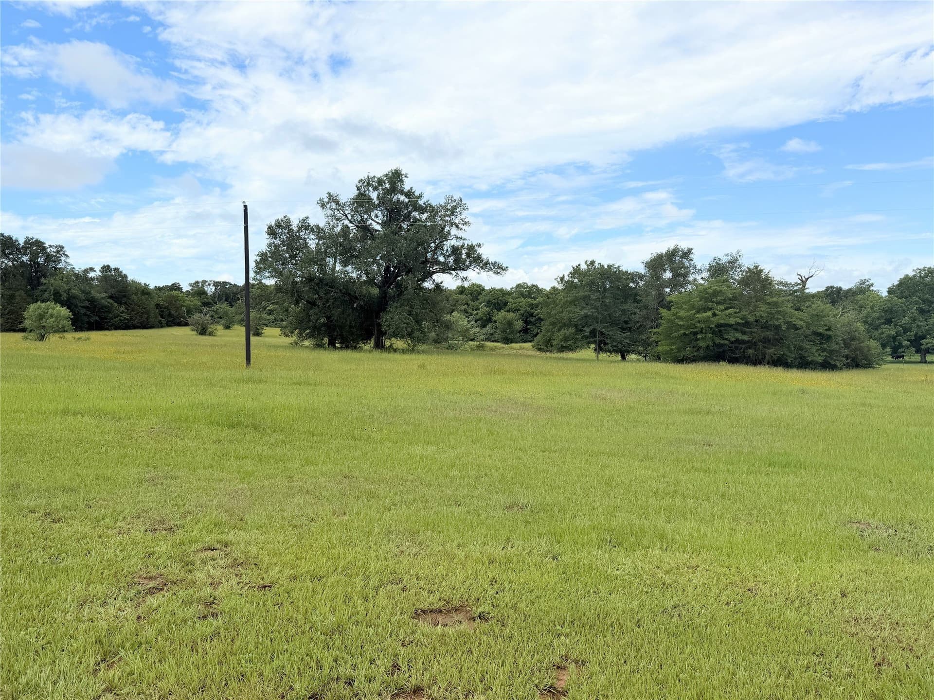 26 acres in Freestone County featured view