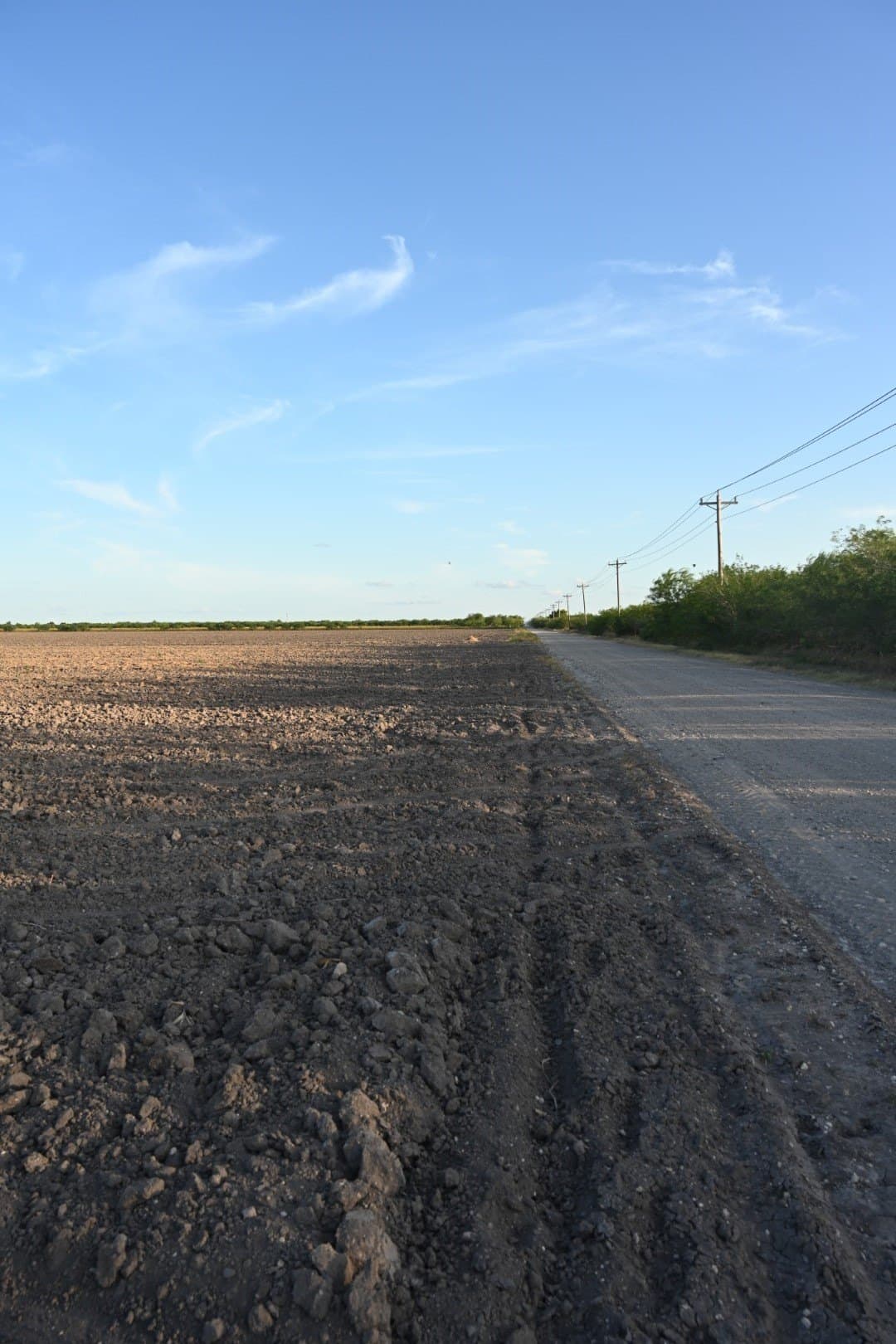 11.28 acres in Hidalgo County - photo 8