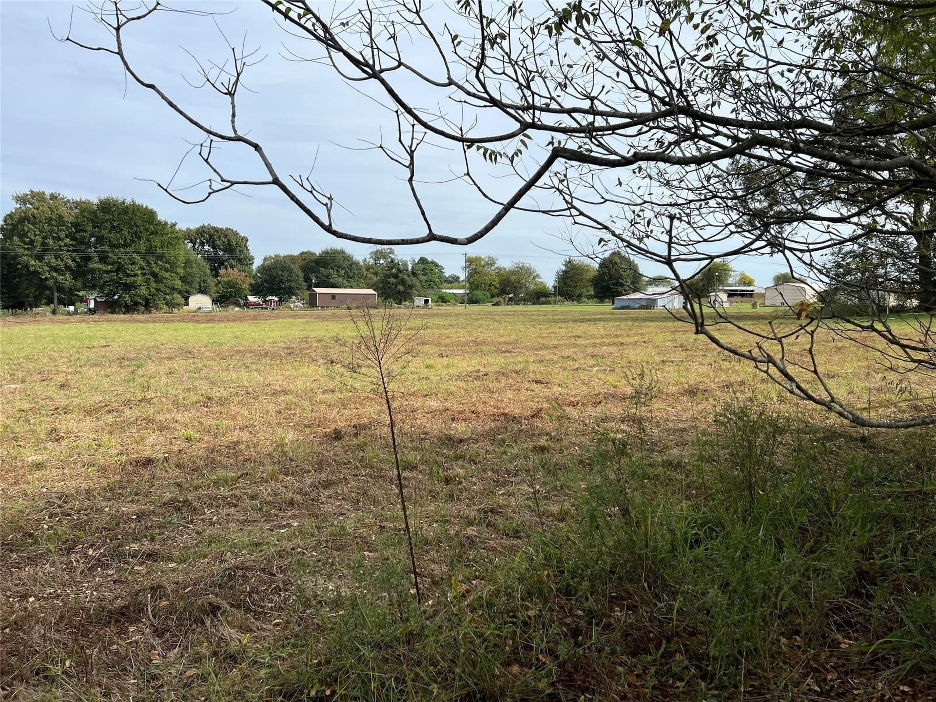 6.02 acres in Camp County - photo 3