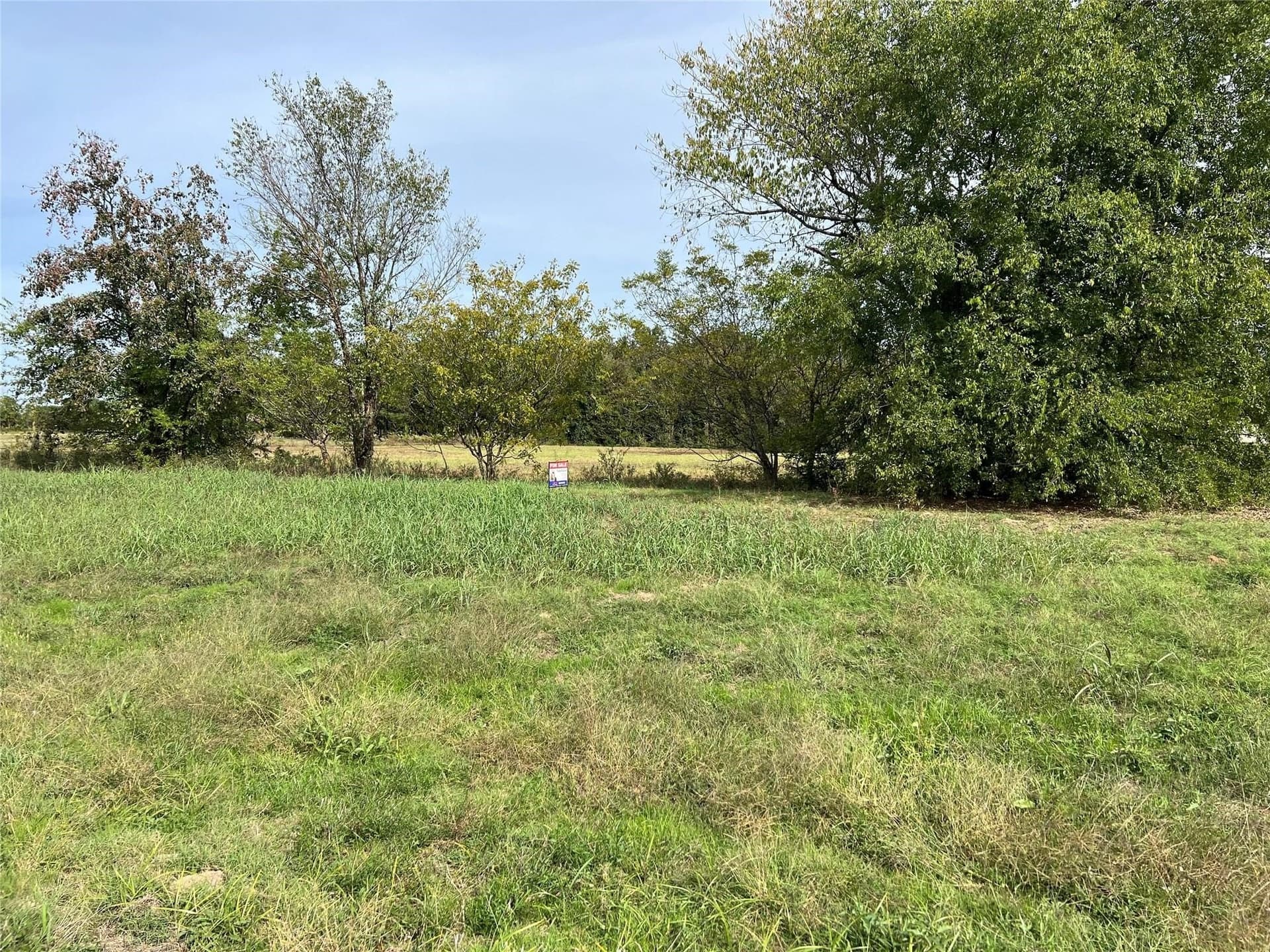 6.02 acres in Camp County
