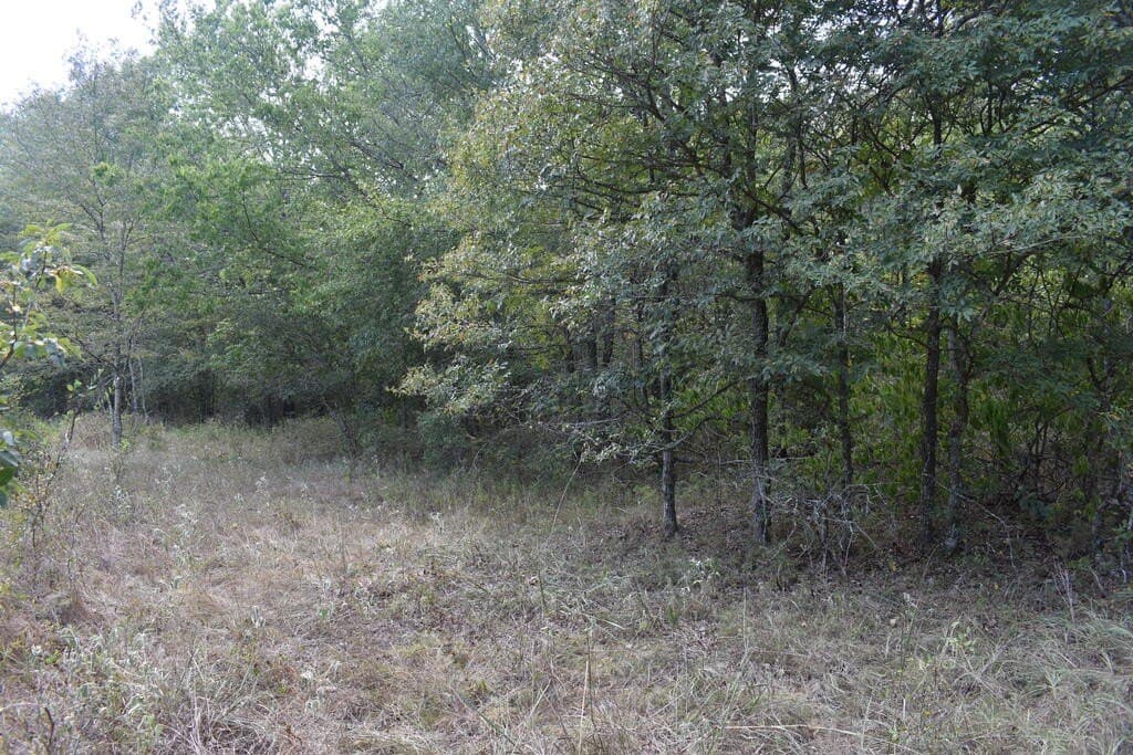 10 acres in ANDERSON County - photo 12