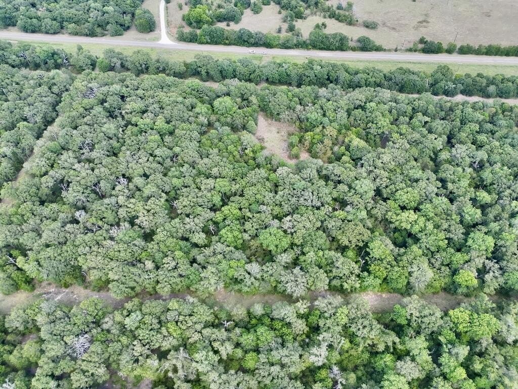 10 acres in ANDERSON County - photo 17