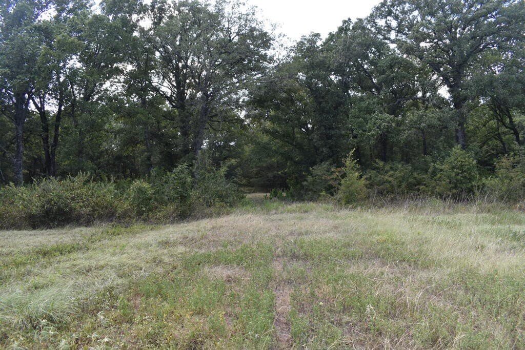 10 acres in ANDERSON County - photo 3
