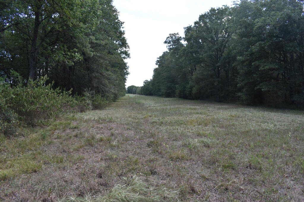 10 acres in ANDERSON County - photo 8