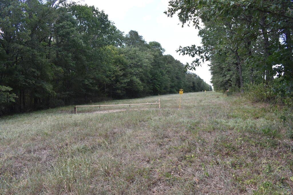 10 acres in ANDERSON County - photo 7