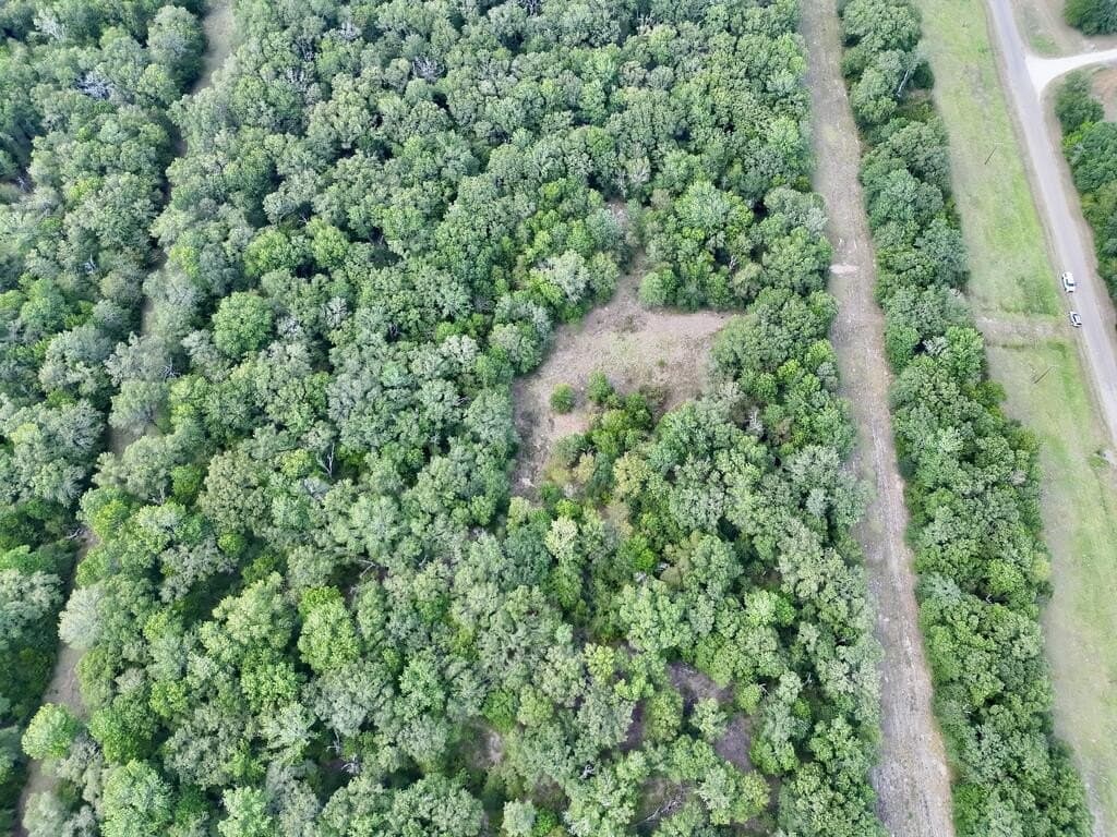 10 acres in ANDERSON County - photo 11