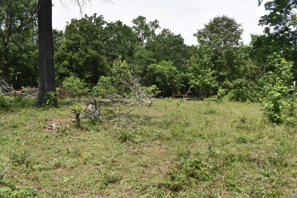 10 acres in ANDERSON County - photo 15